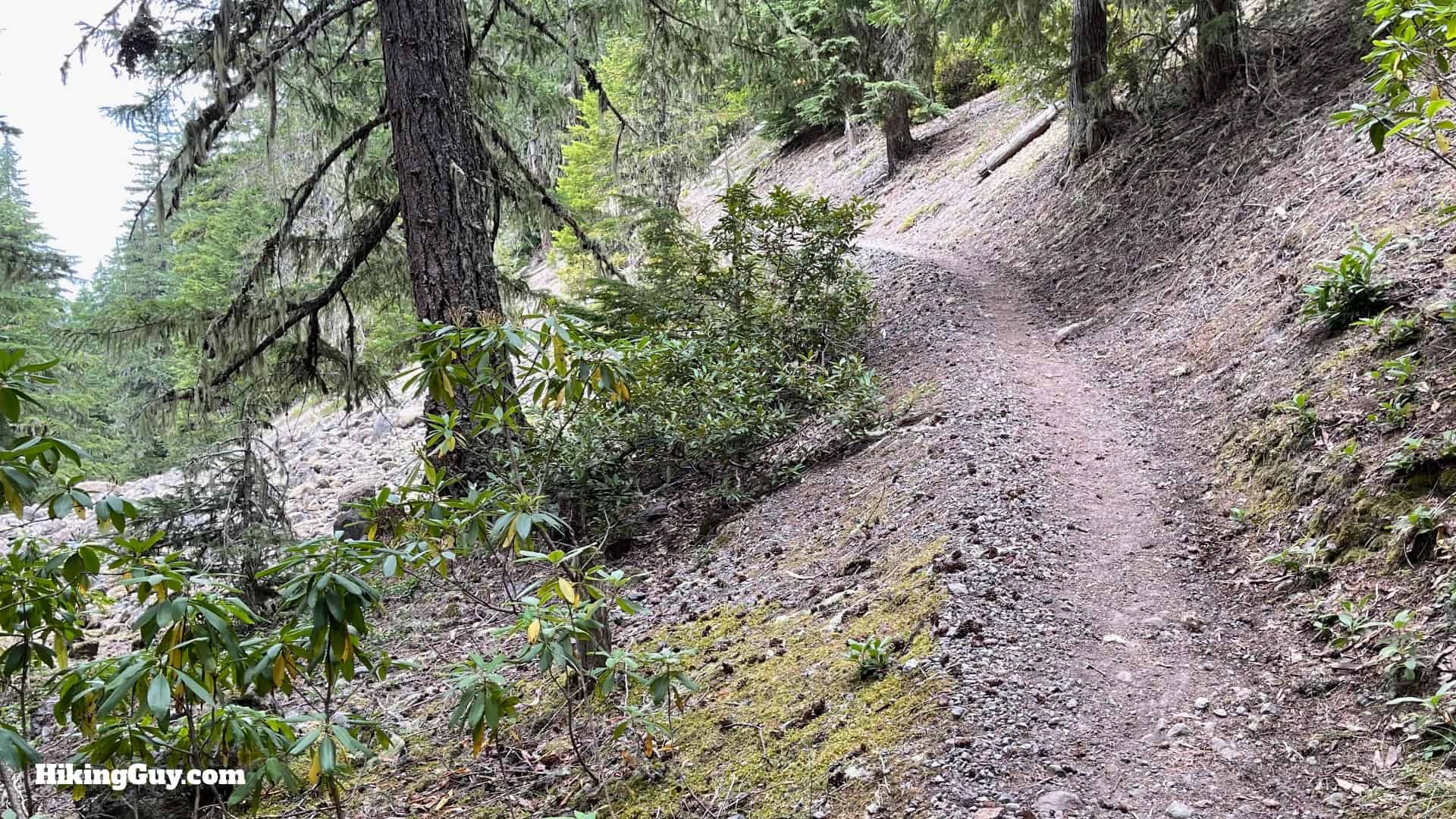 Timberline Trail Directions 46