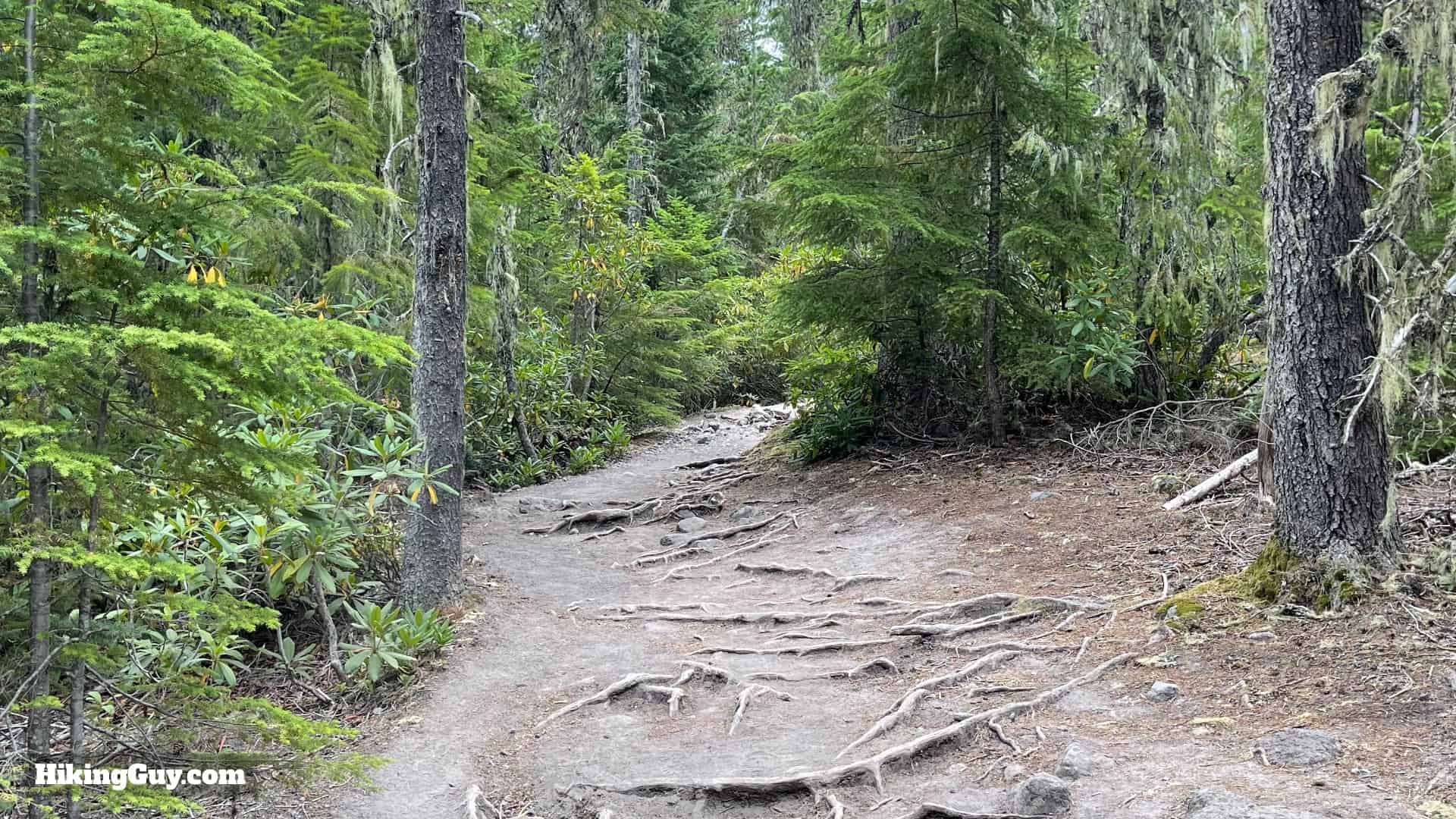 Timberline Trail Directions 49