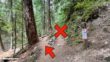 Timberline Trail Directions 52