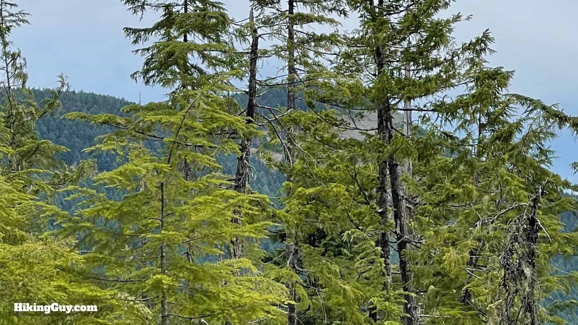 Timberline Trail Directions 55