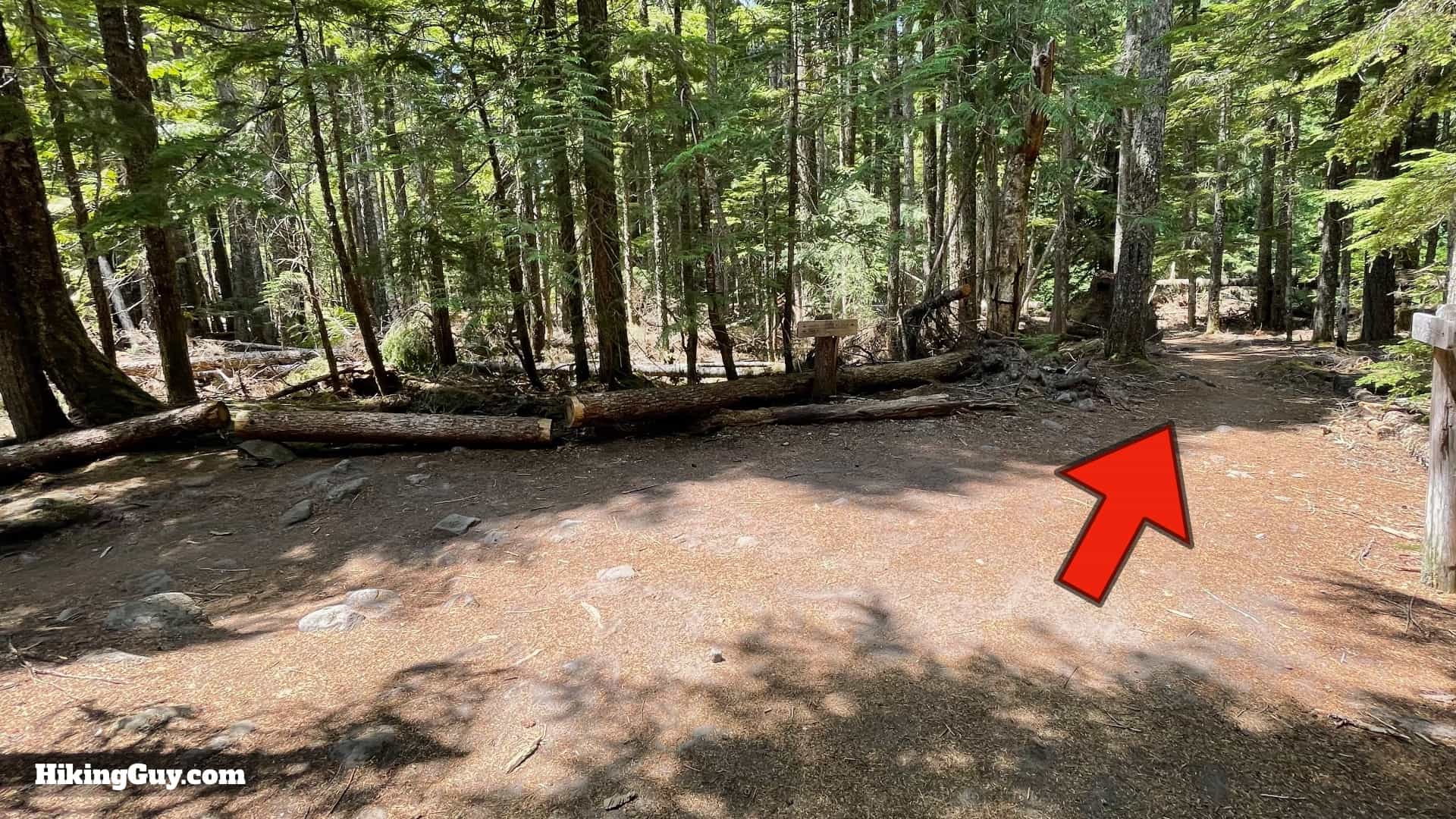 Timberline Trail Directions 56