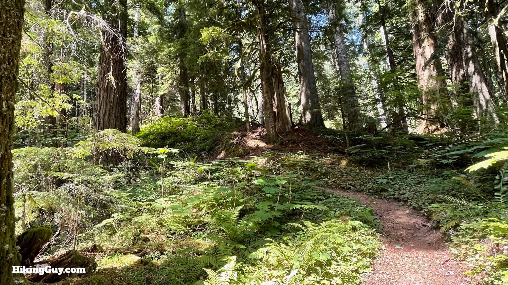 Timberline Trail Directions 59