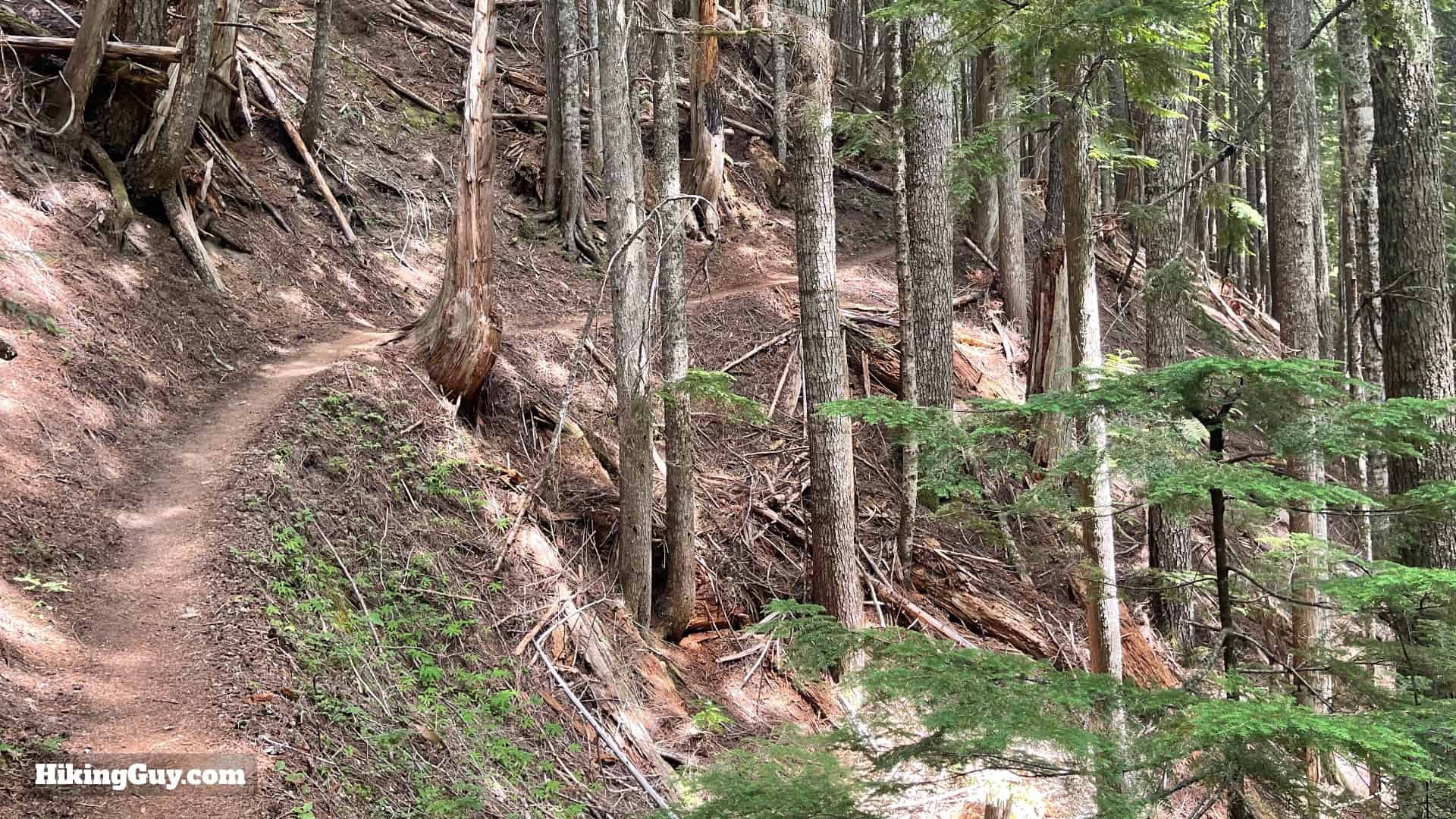 Timberline Trail Directions 60