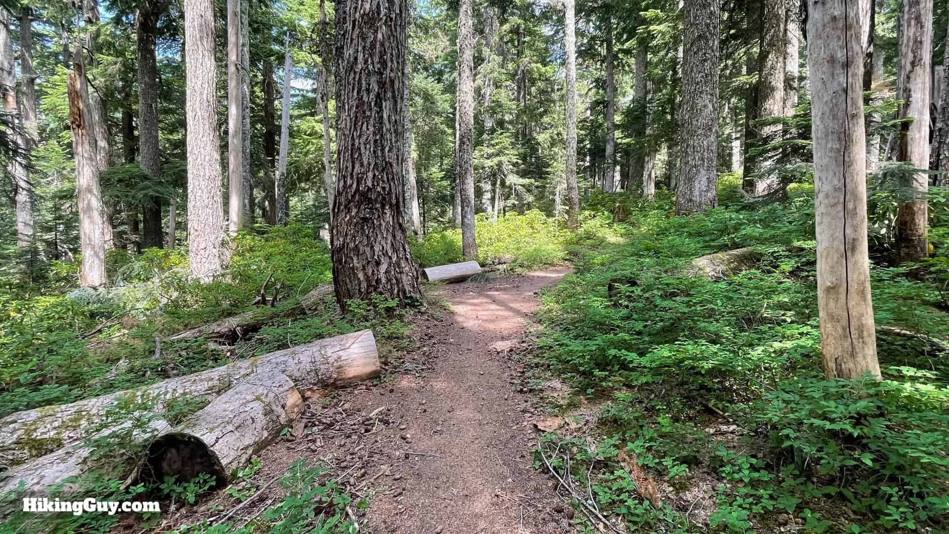 Timberline Trail Directions 61