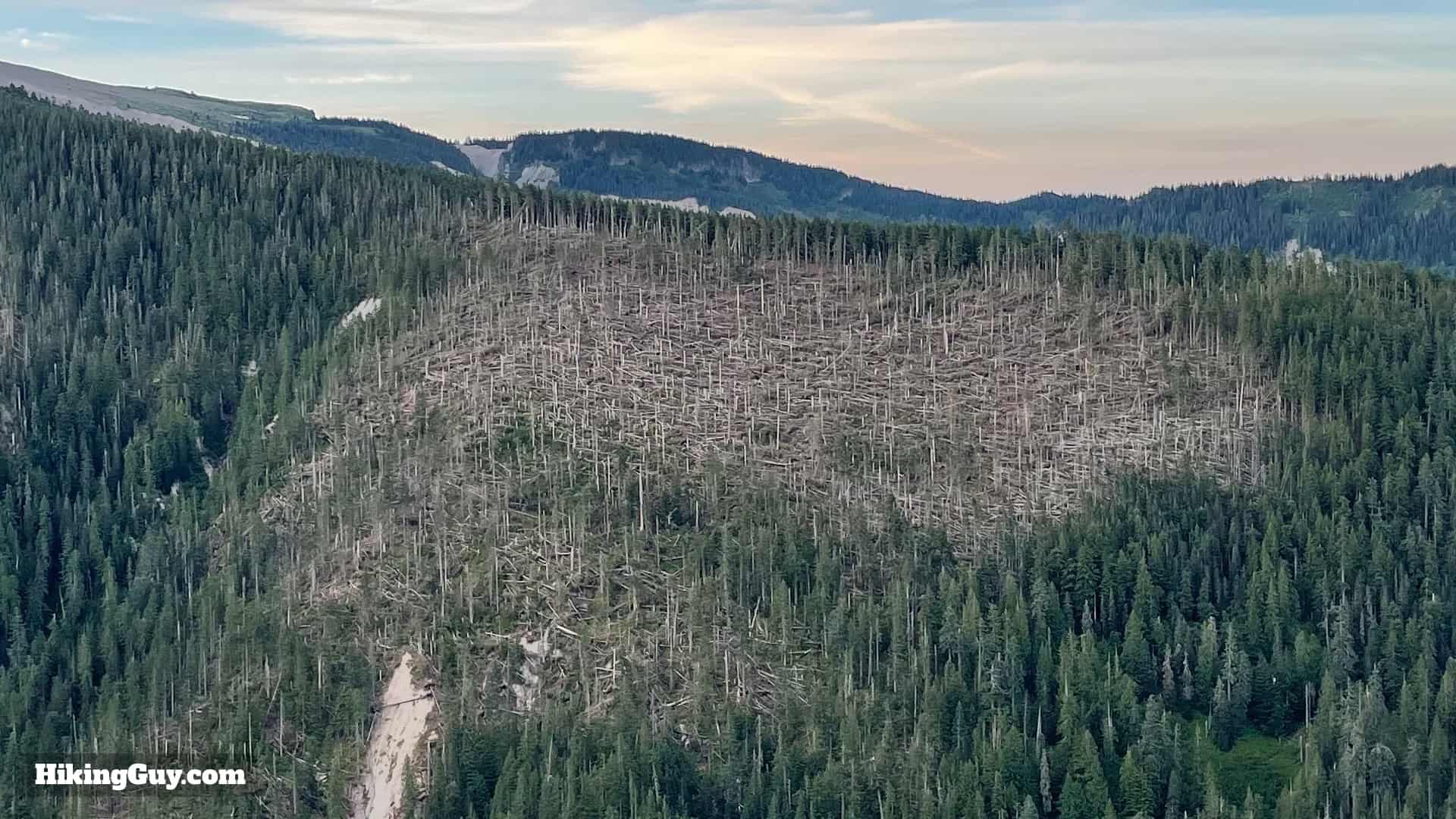 Timberline Trail Directions 68