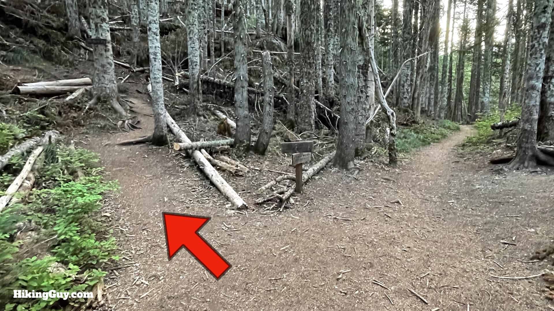 Timberline Trail Directions 69