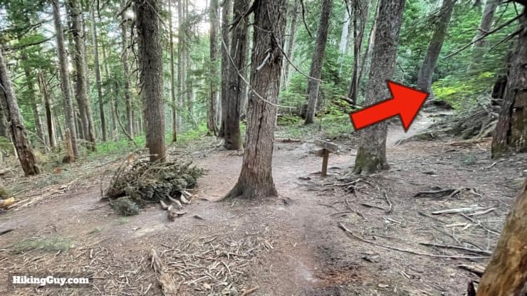 Timberline Trail Directions 72