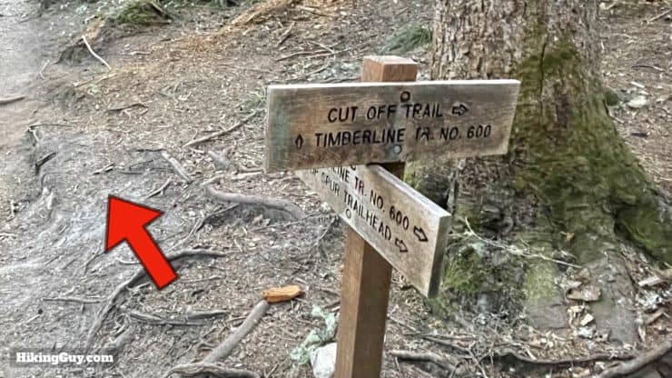 Timberline Trail Directions 73