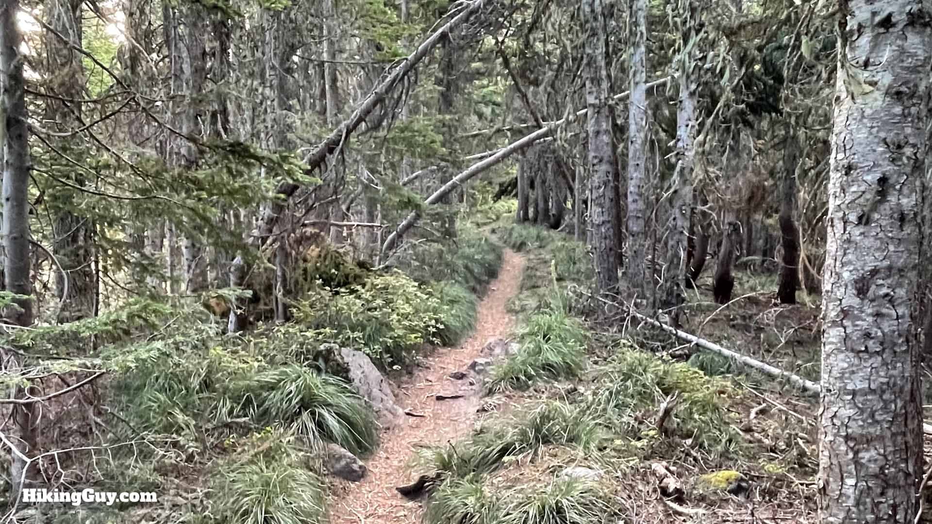 Timberline Trail Directions 78