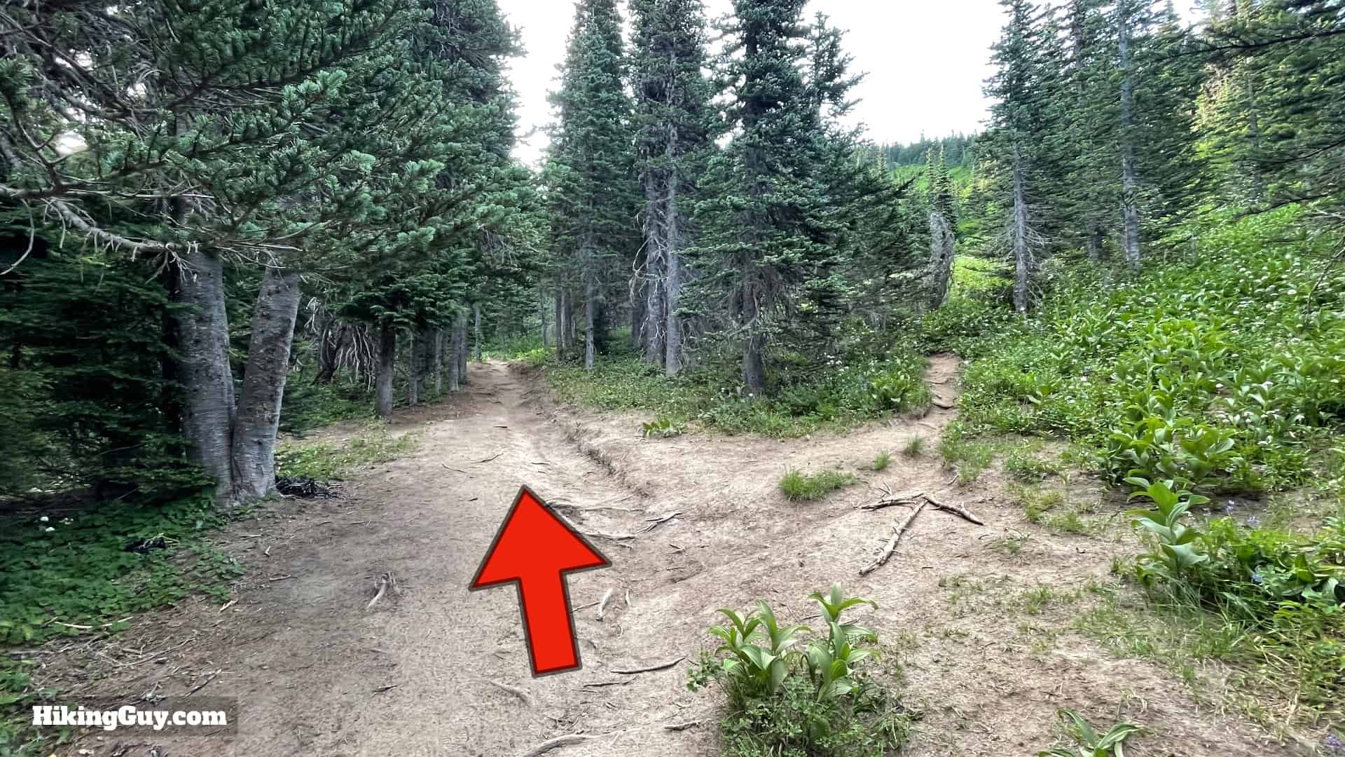 Timberline Trail Directions 82