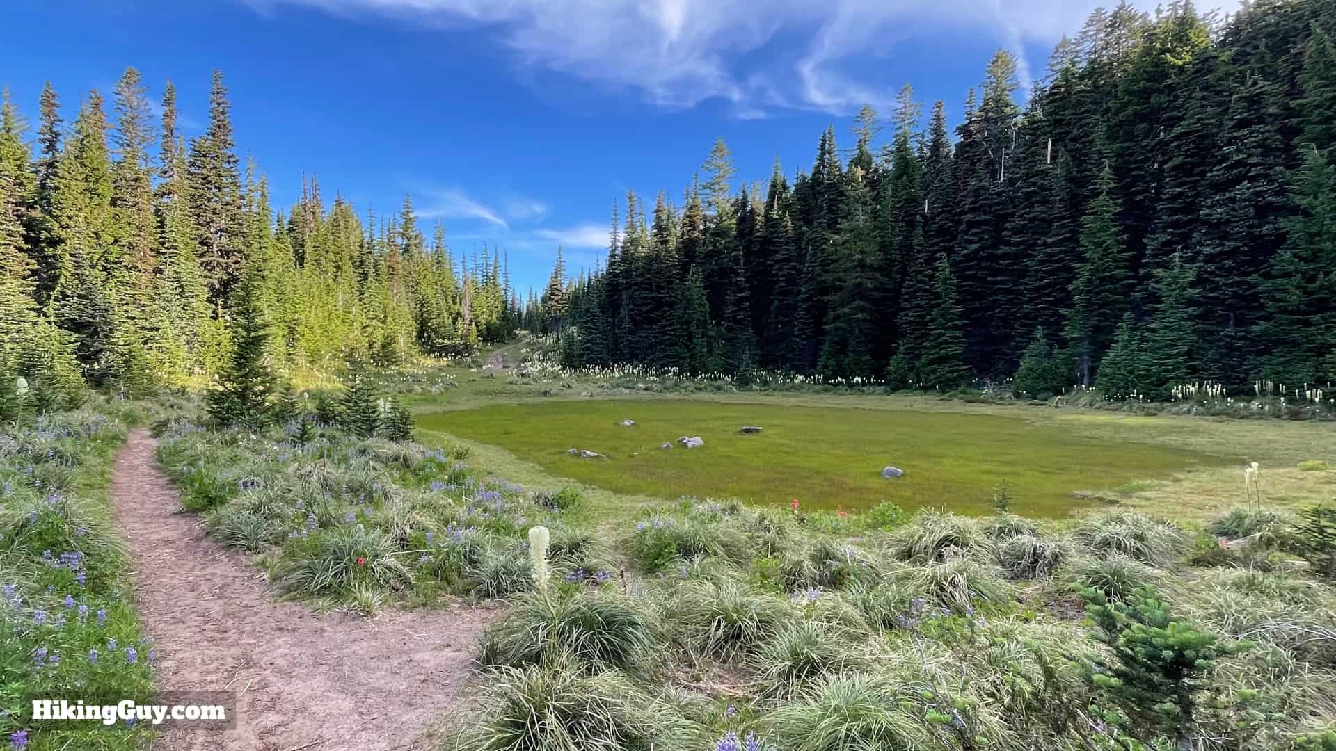 Timberline Trail Directions 84