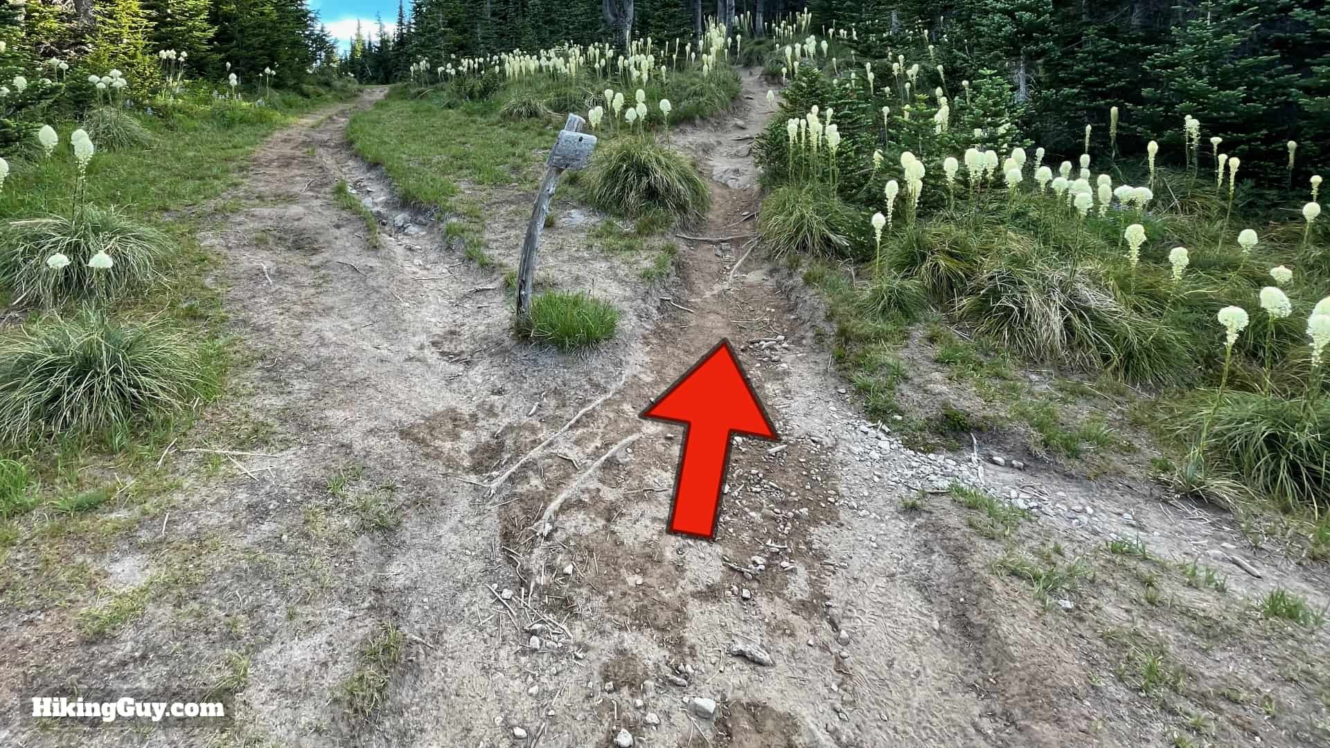 Timberline Trail Directions 85