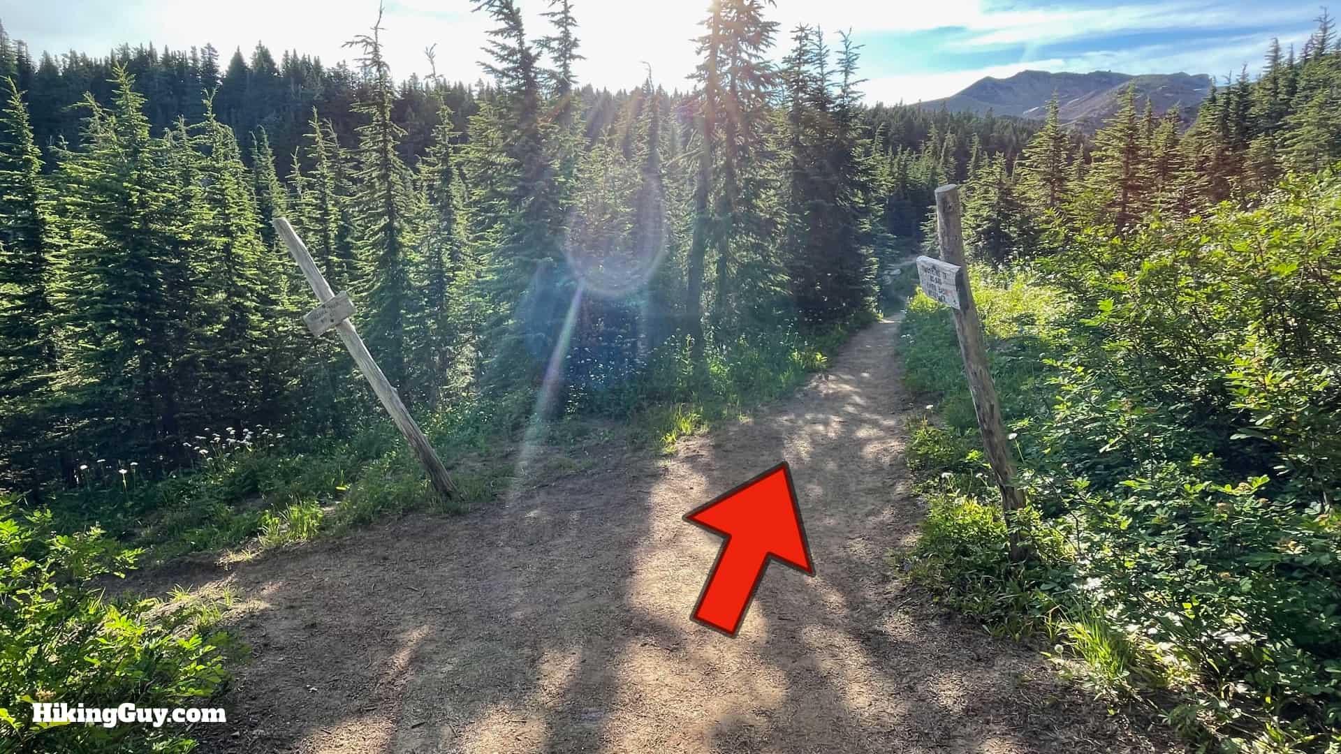 Timberline Trail Directions 87