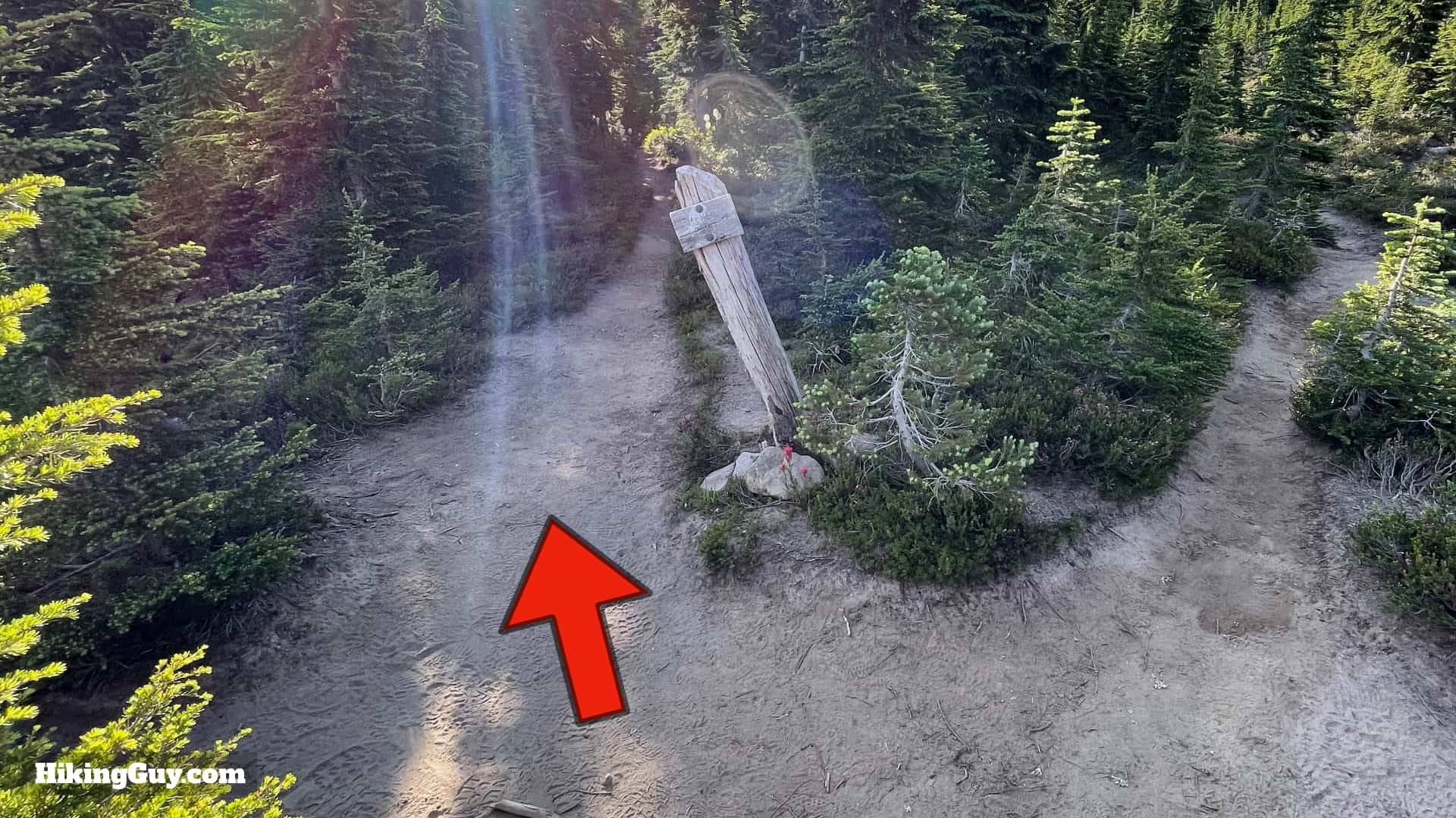 Timberline Trail Directions 89