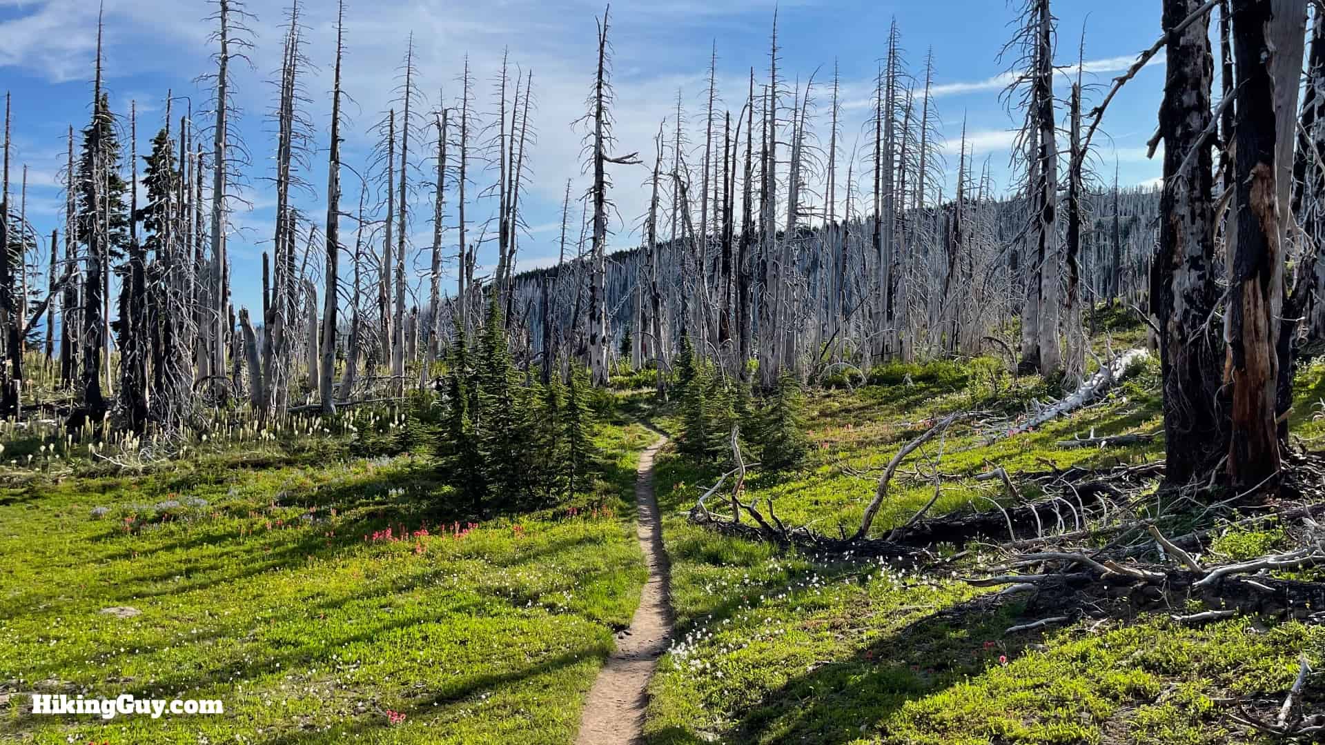 Timberline Trail Directions 92