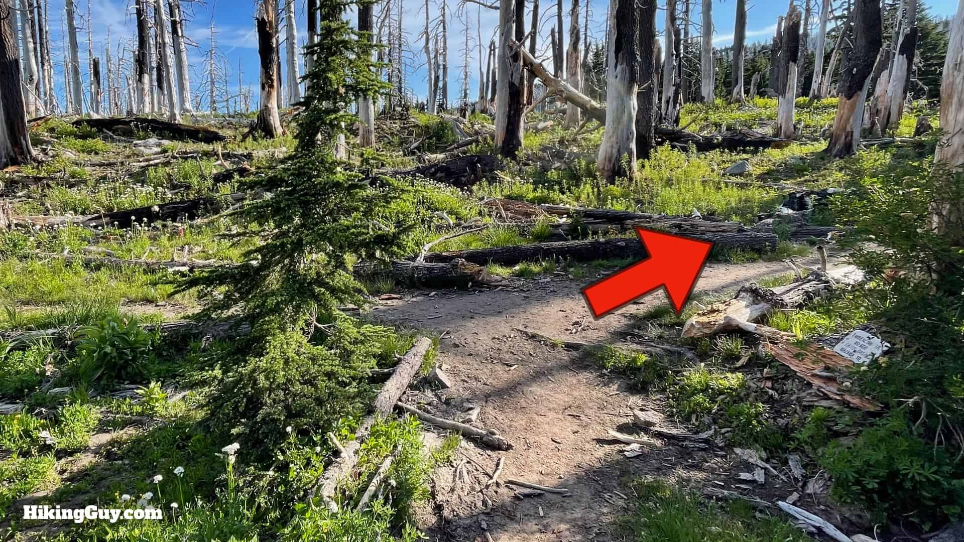 Timberline Trail Directions 93