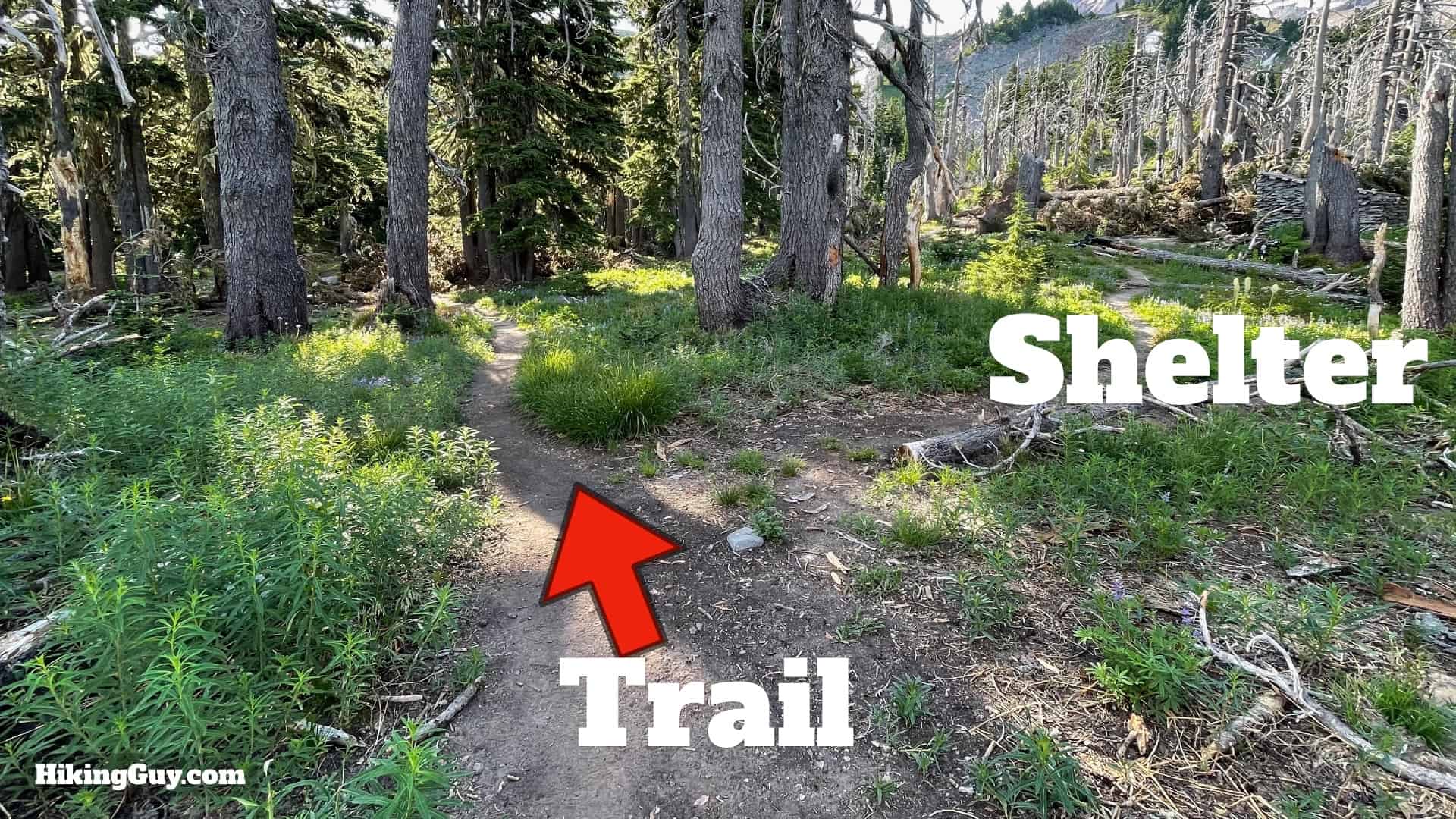 Timberline Trail Directions 94