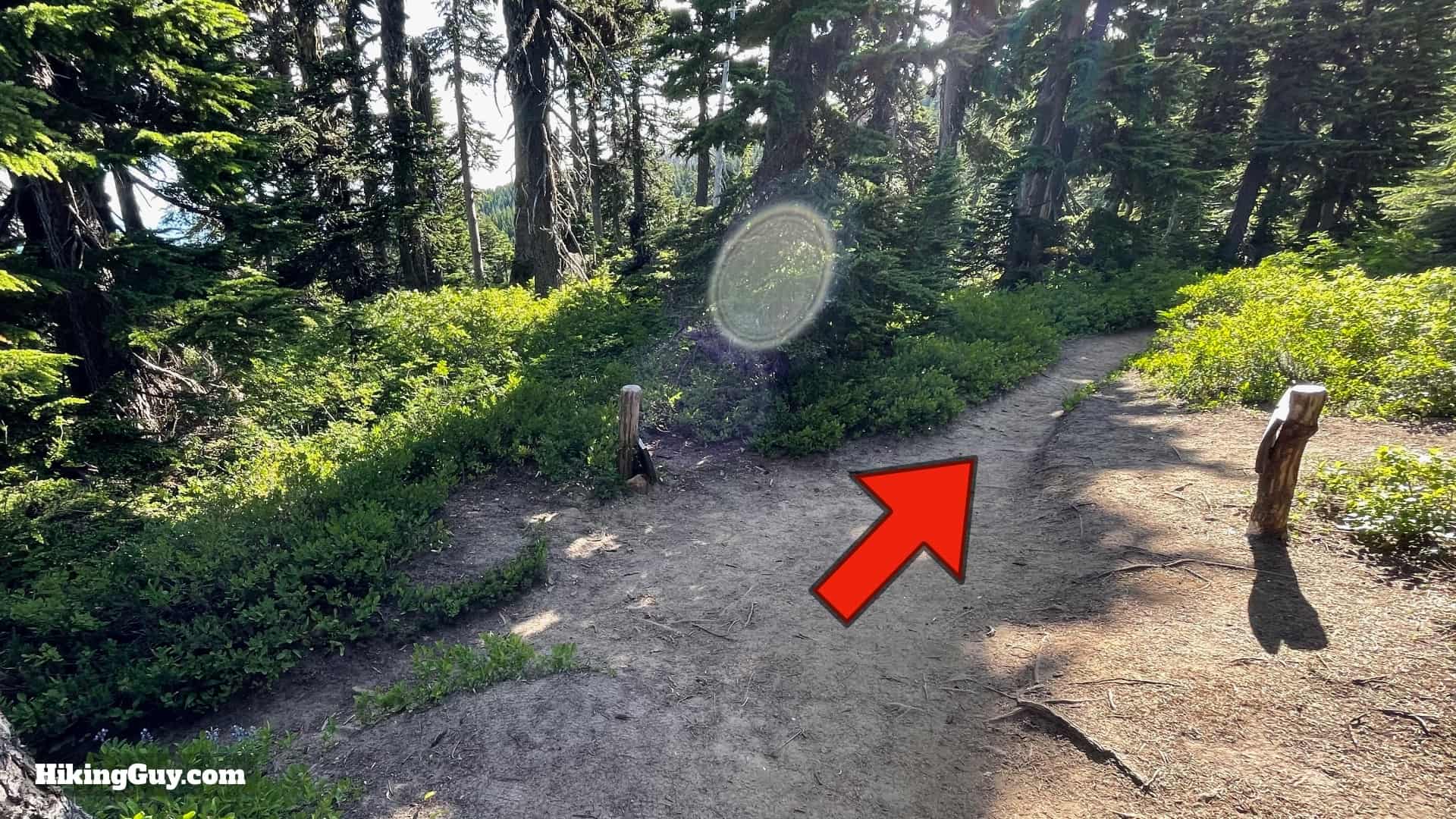 Timberline Trail Directions 99