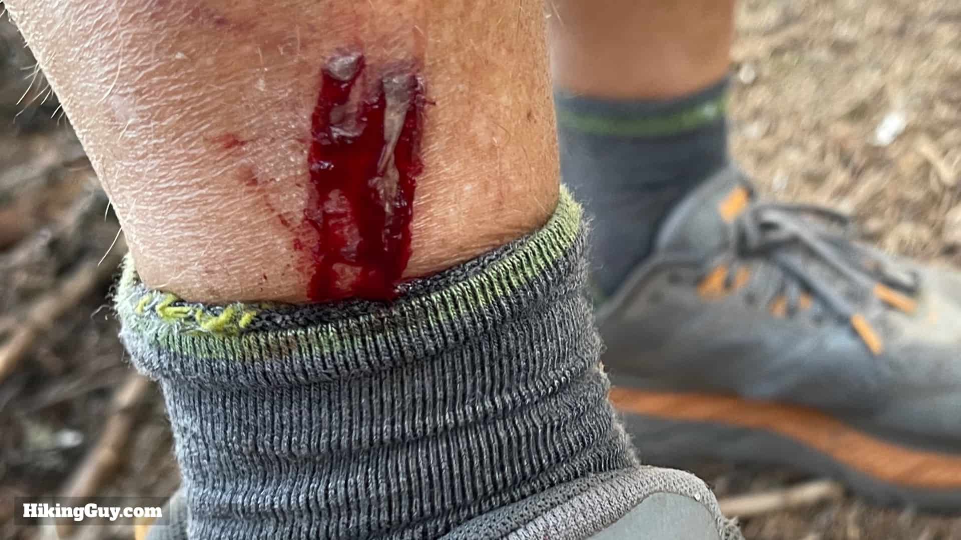 Timberline Trail Guide 14