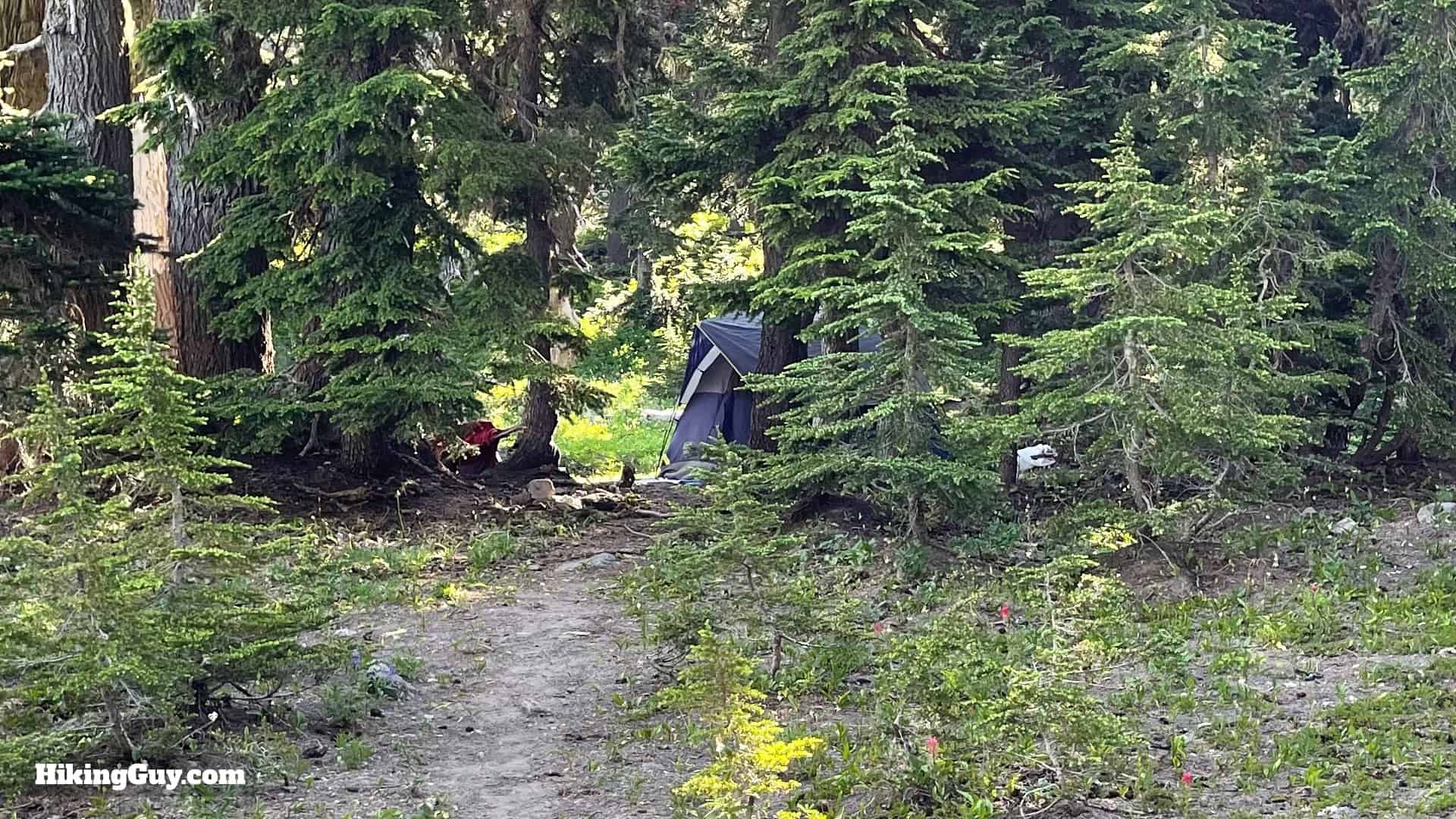 Timberline Trail Guide 15