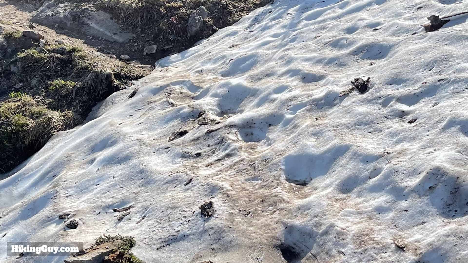 Timberline Trail Guide 16