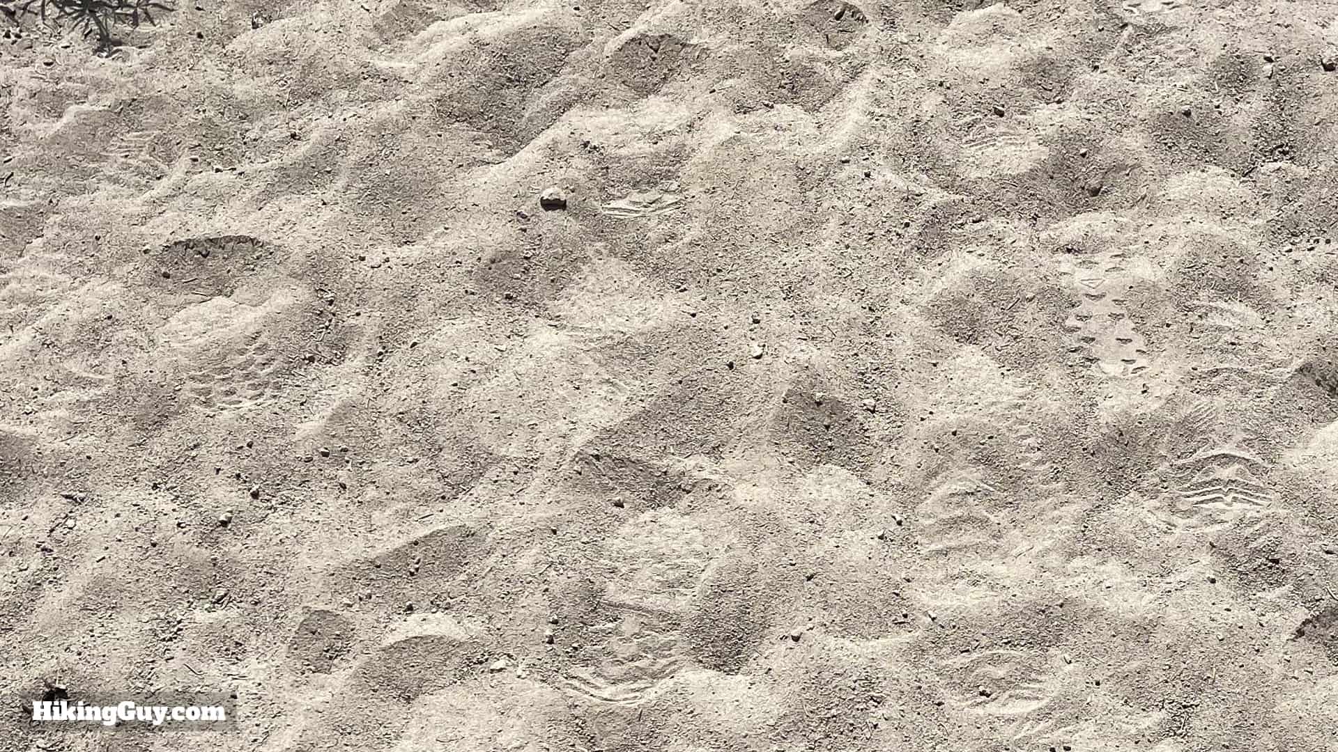 Timberline Trail Guide 24