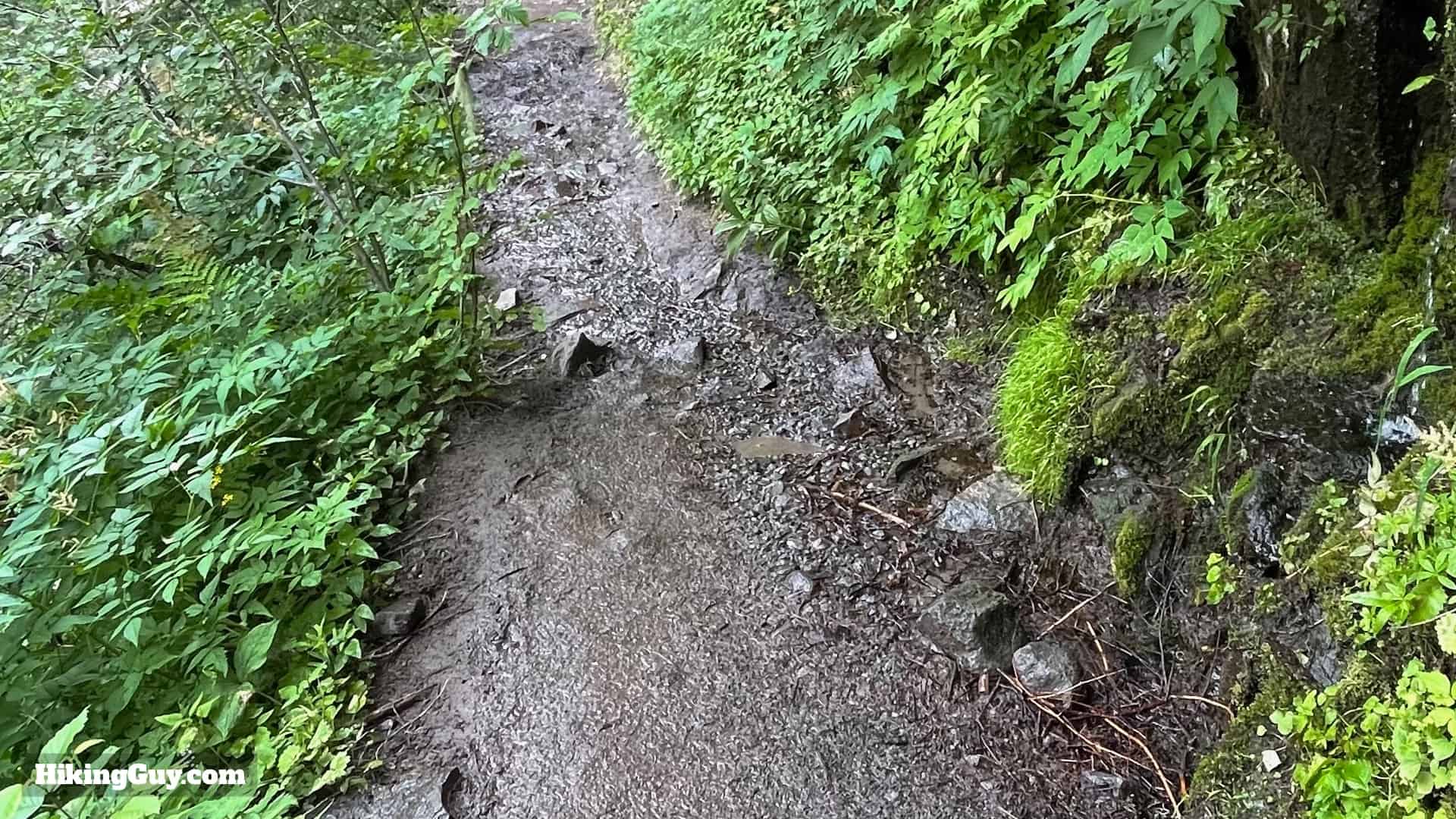 Timberline Trail Guide 7