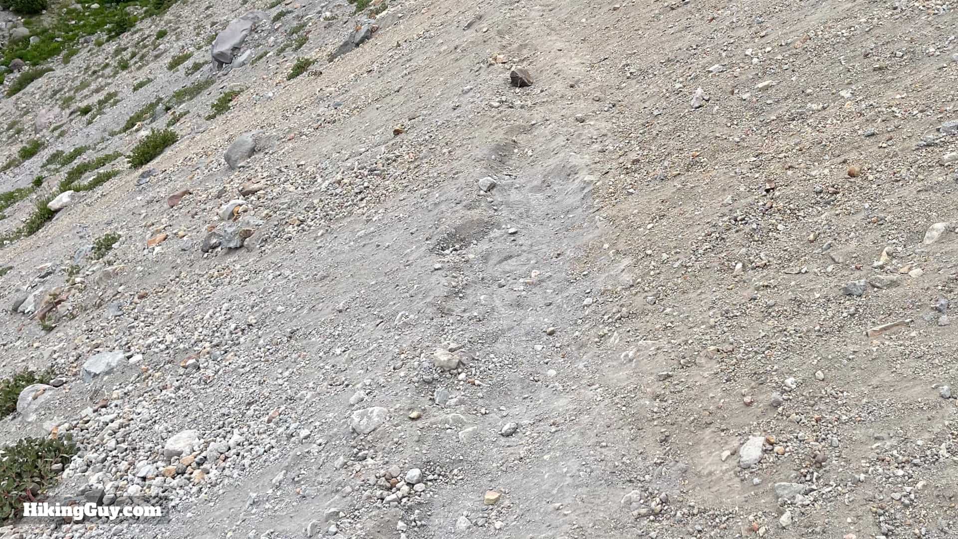 Timberline Trail Guide 8