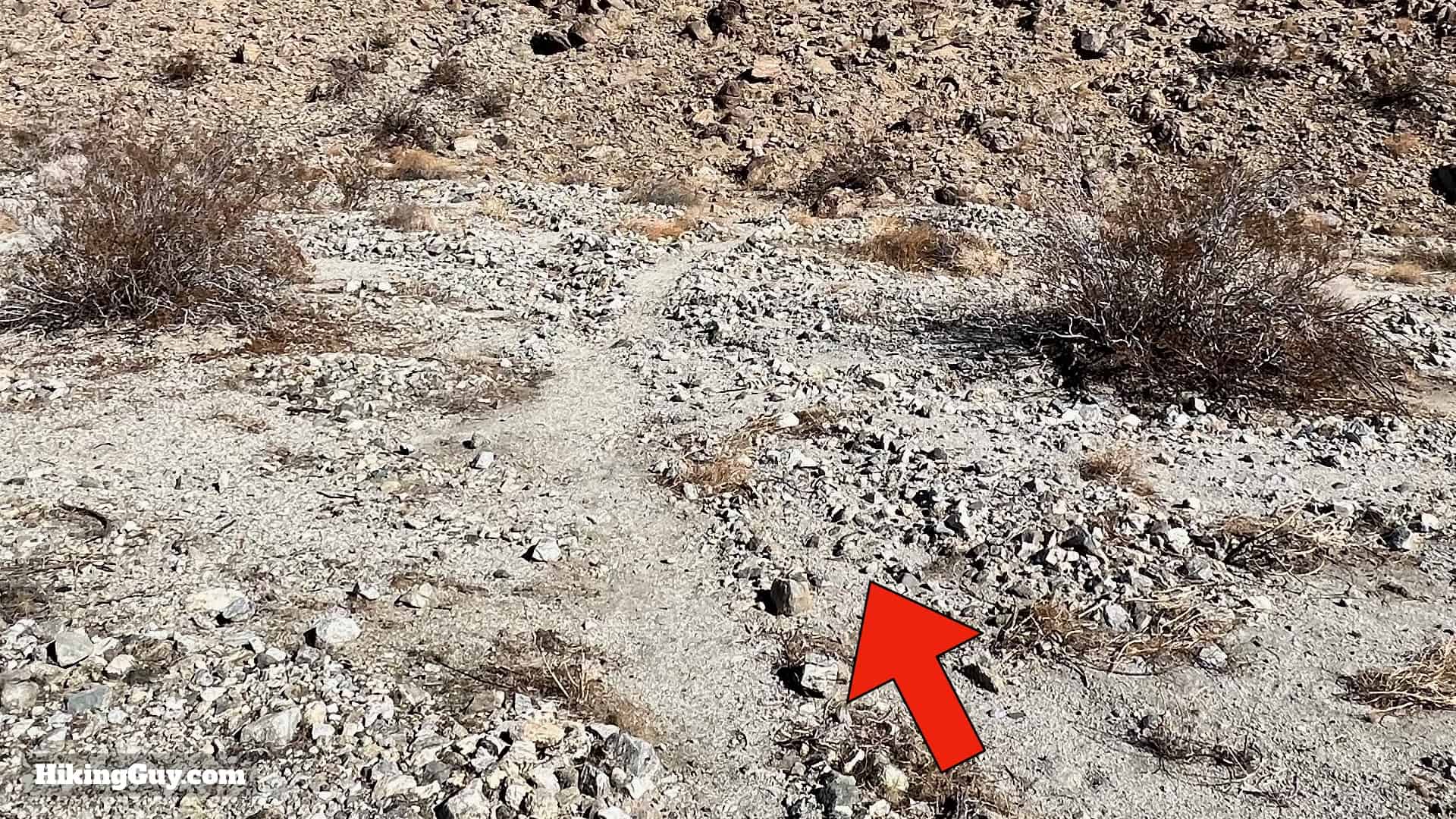 Tims Ladder Trail Directions 13