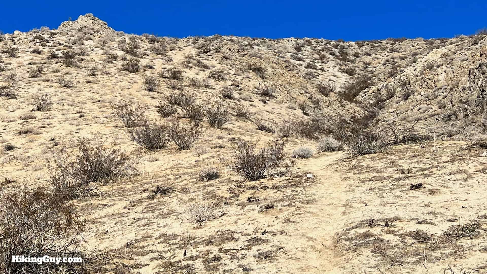 Tims Ladder Trail Directions 38