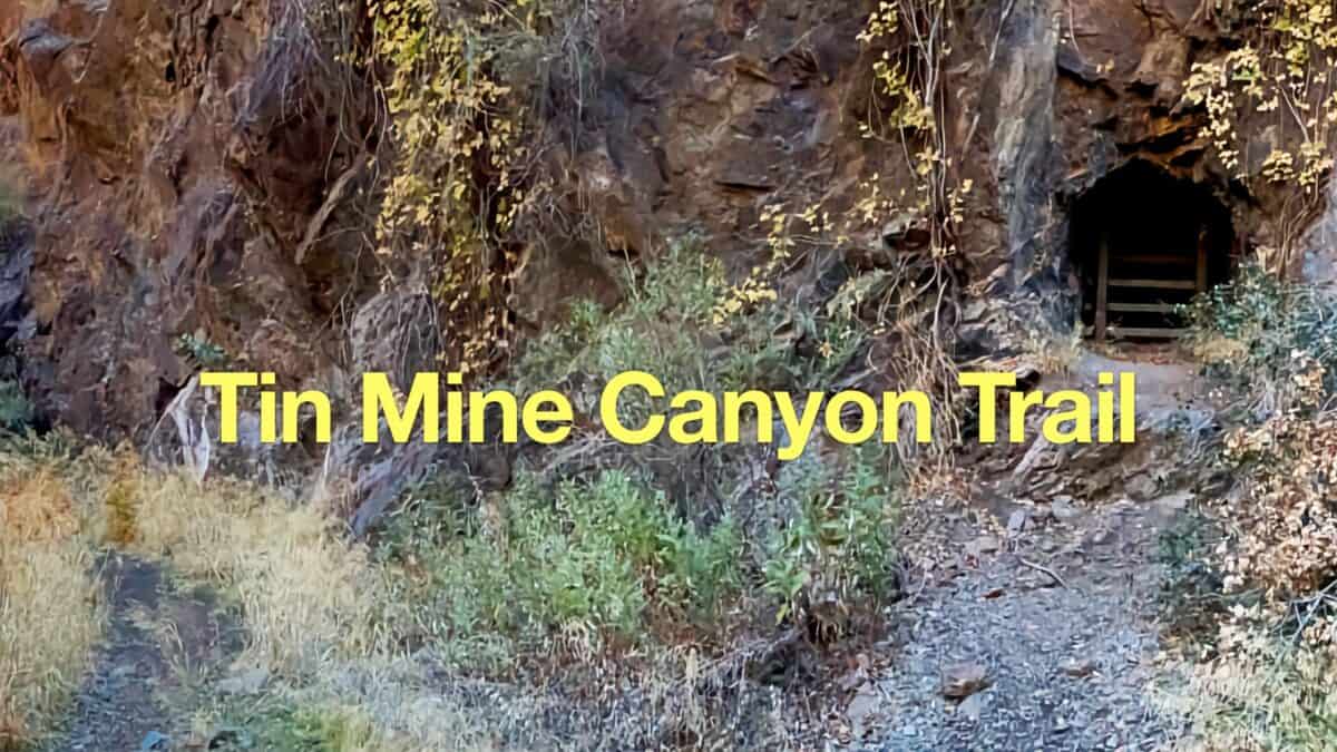 Tin Mine Canyon Trail Guide