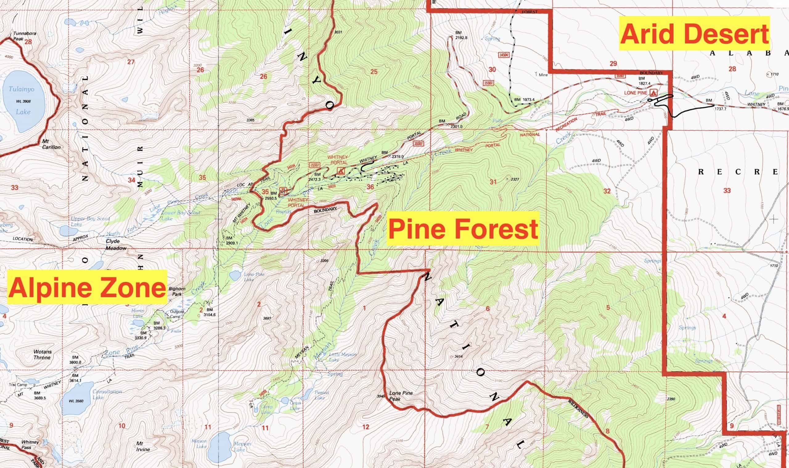 Topo Map Vegetation