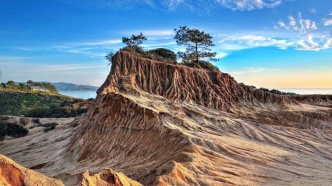 Torrey Pines Hike Guide