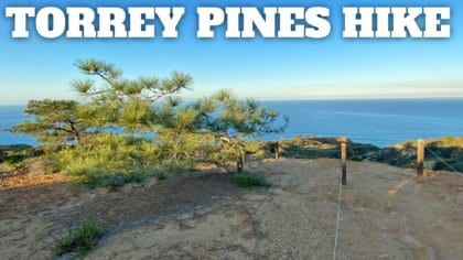 Torrey Pines Hike Guide