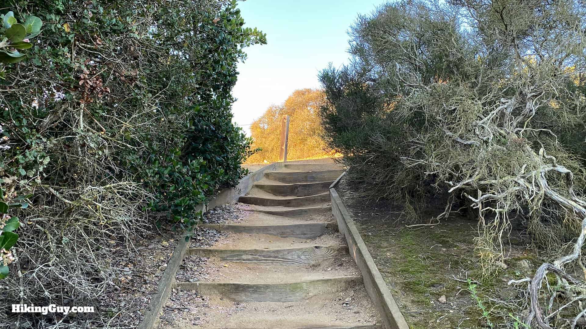 Torrey Pines Hike Update 10