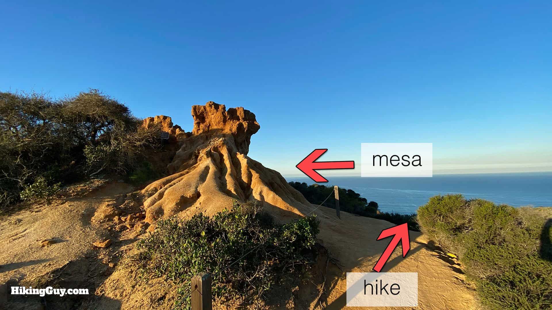 Torrey Pines Hike Update 11