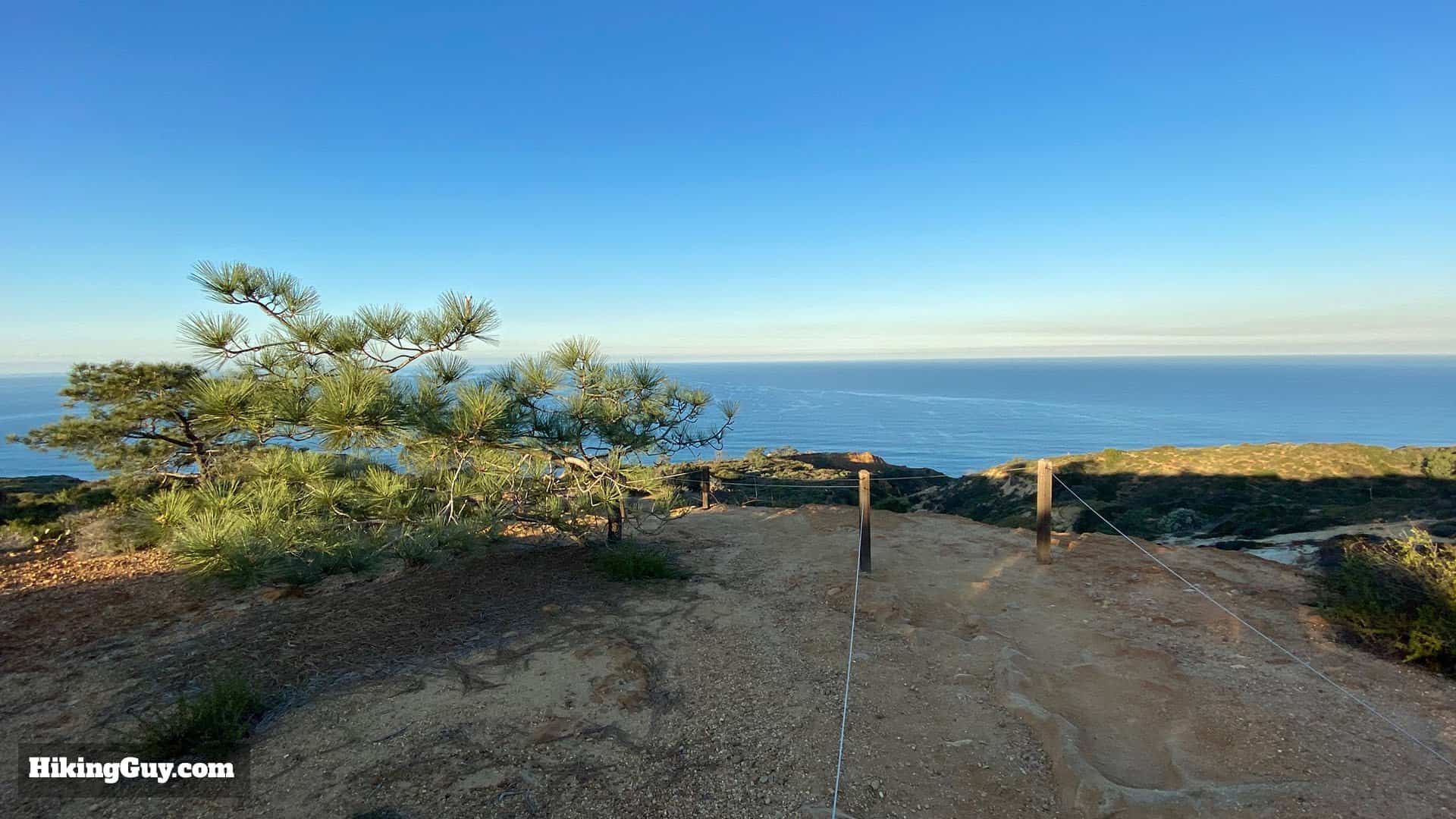 Torrey Pines Hike Update 14
