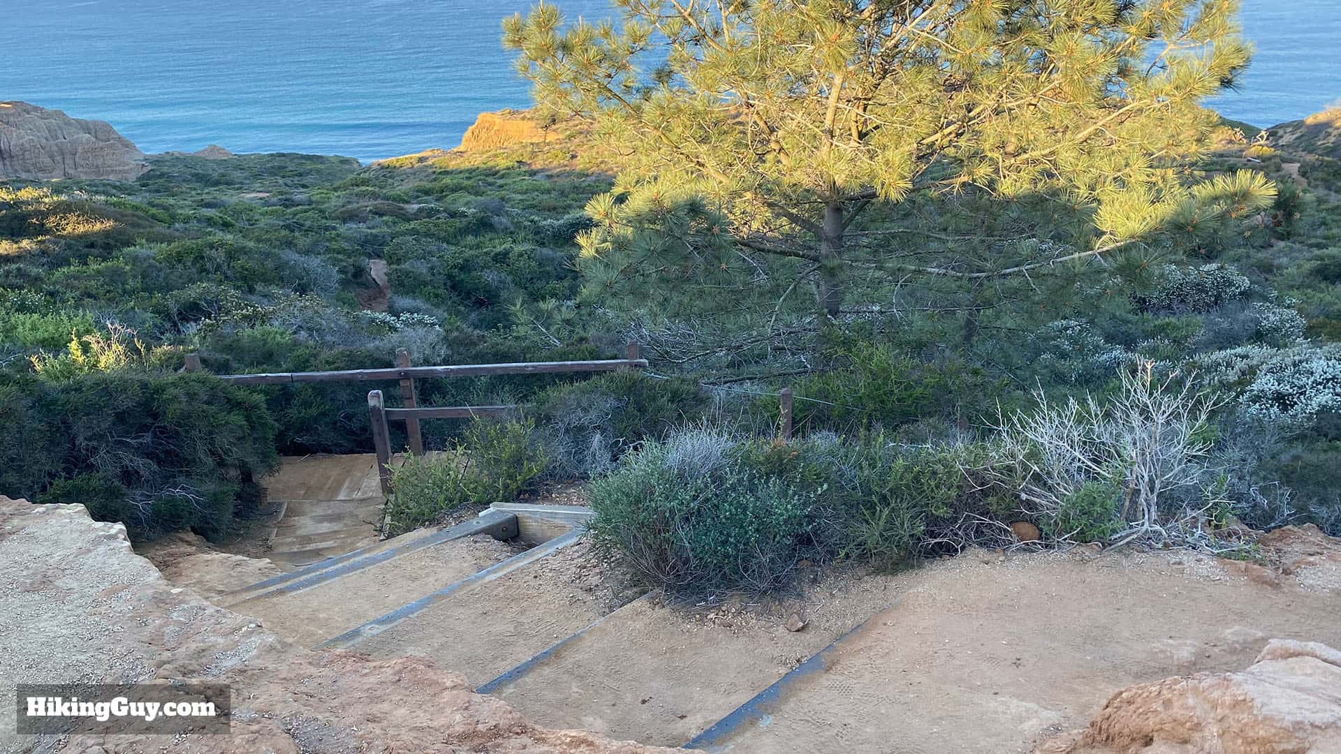 Torrey Pines Hike Update 15