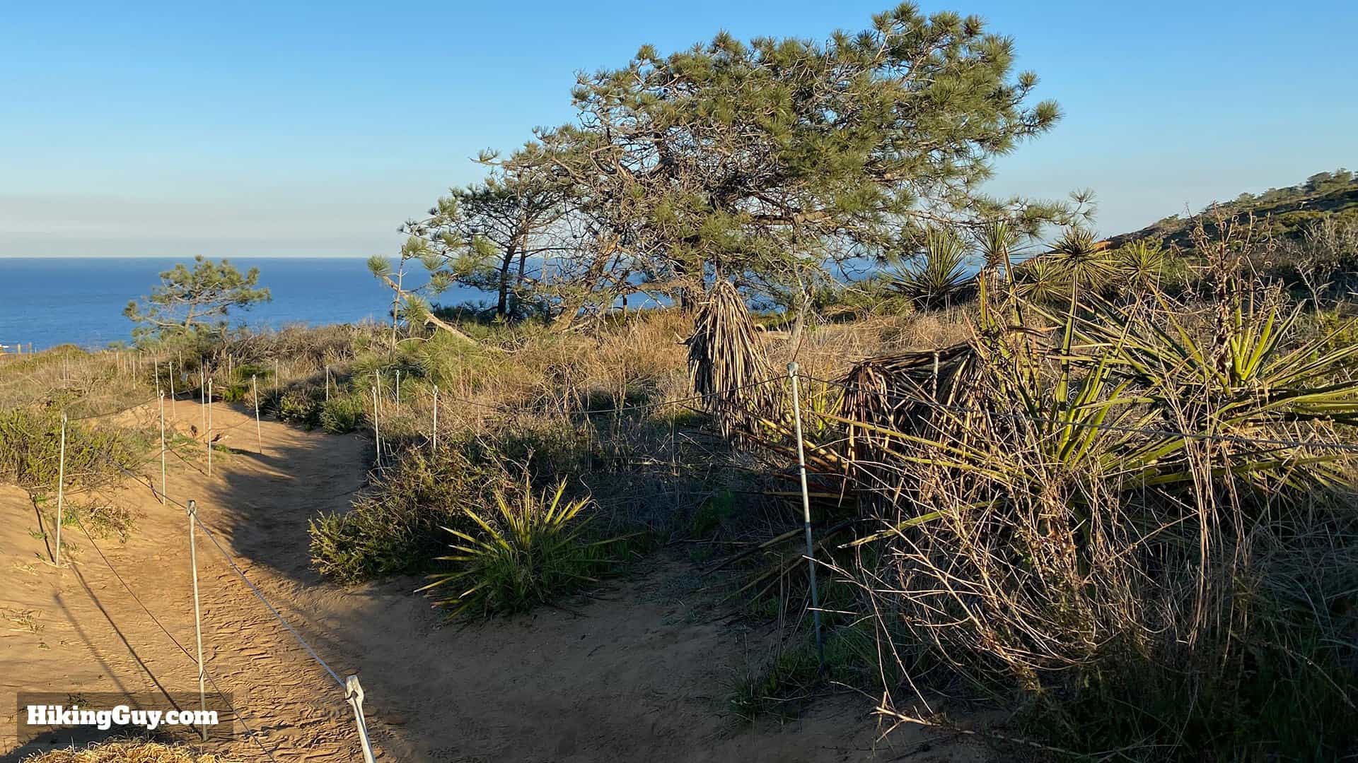Torrey Pines Hike Update 17