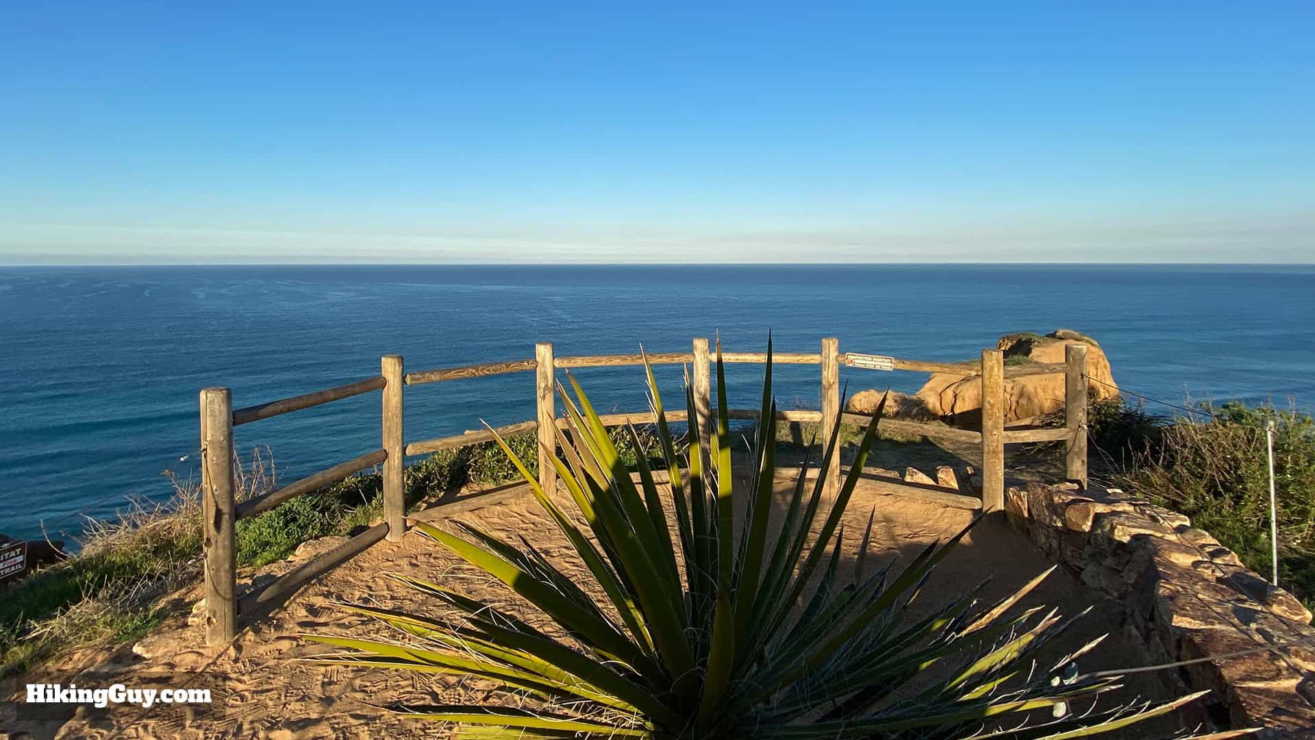 Torrey Pines Hike Update 19