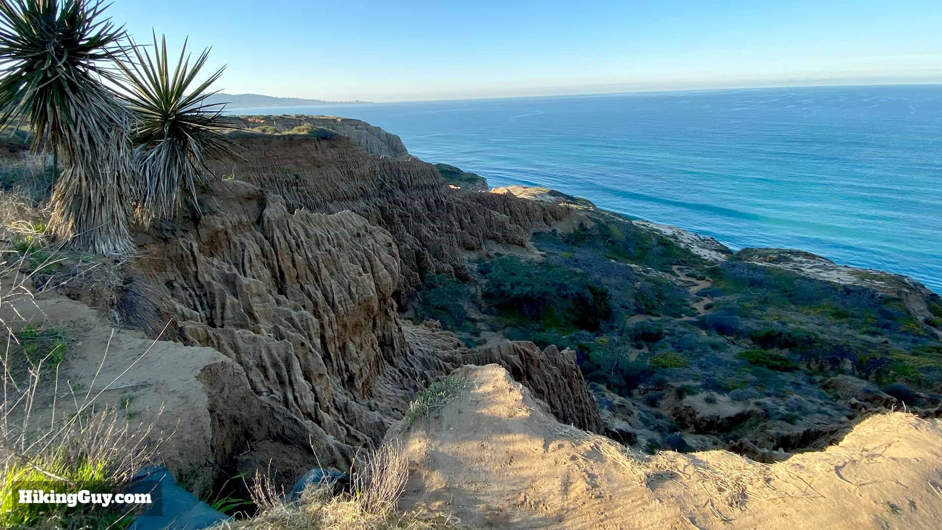 Torrey Pines Hike Update 20