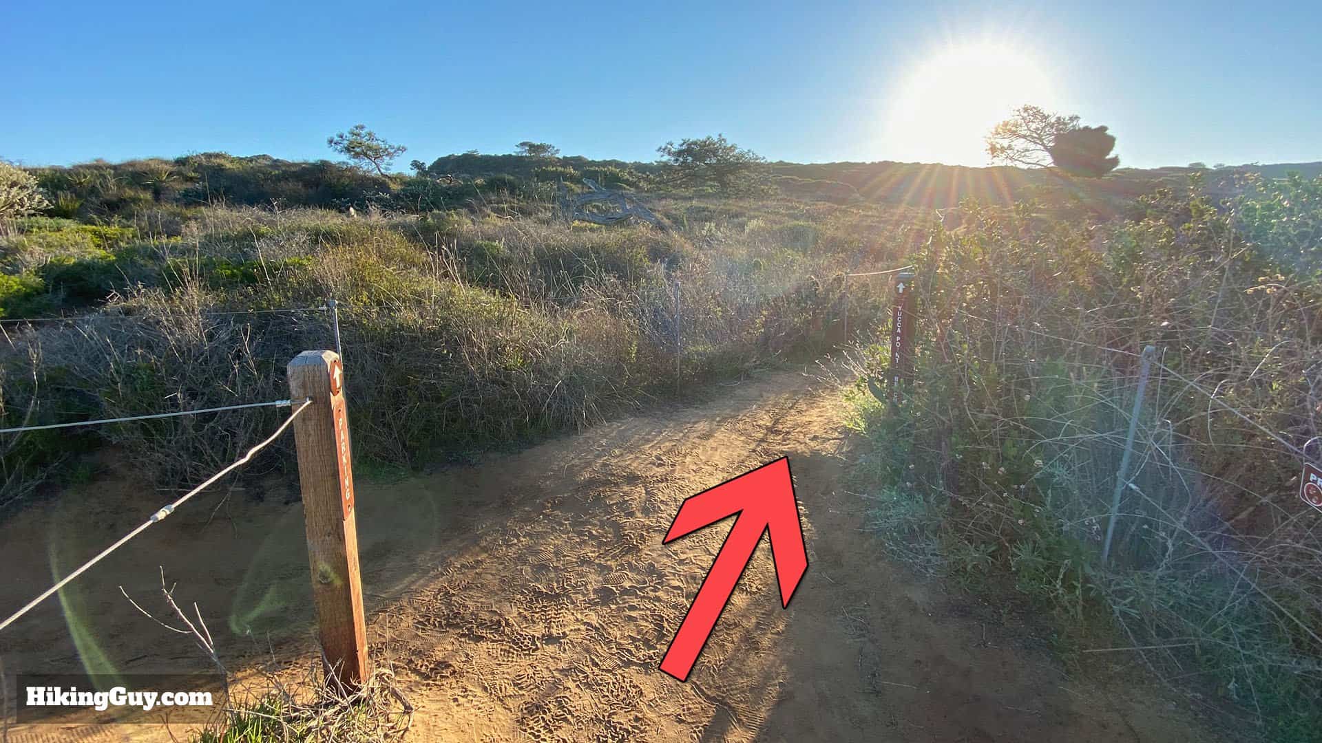 Torrey Pines Hike Update 21