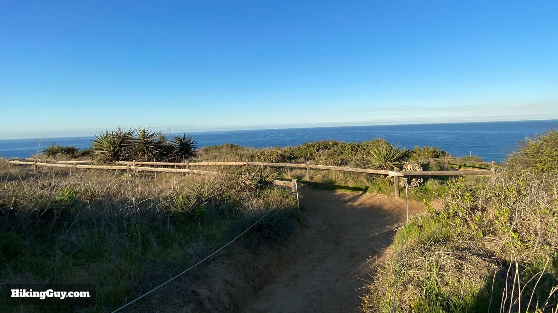 Torrey Pines Hike Update 24