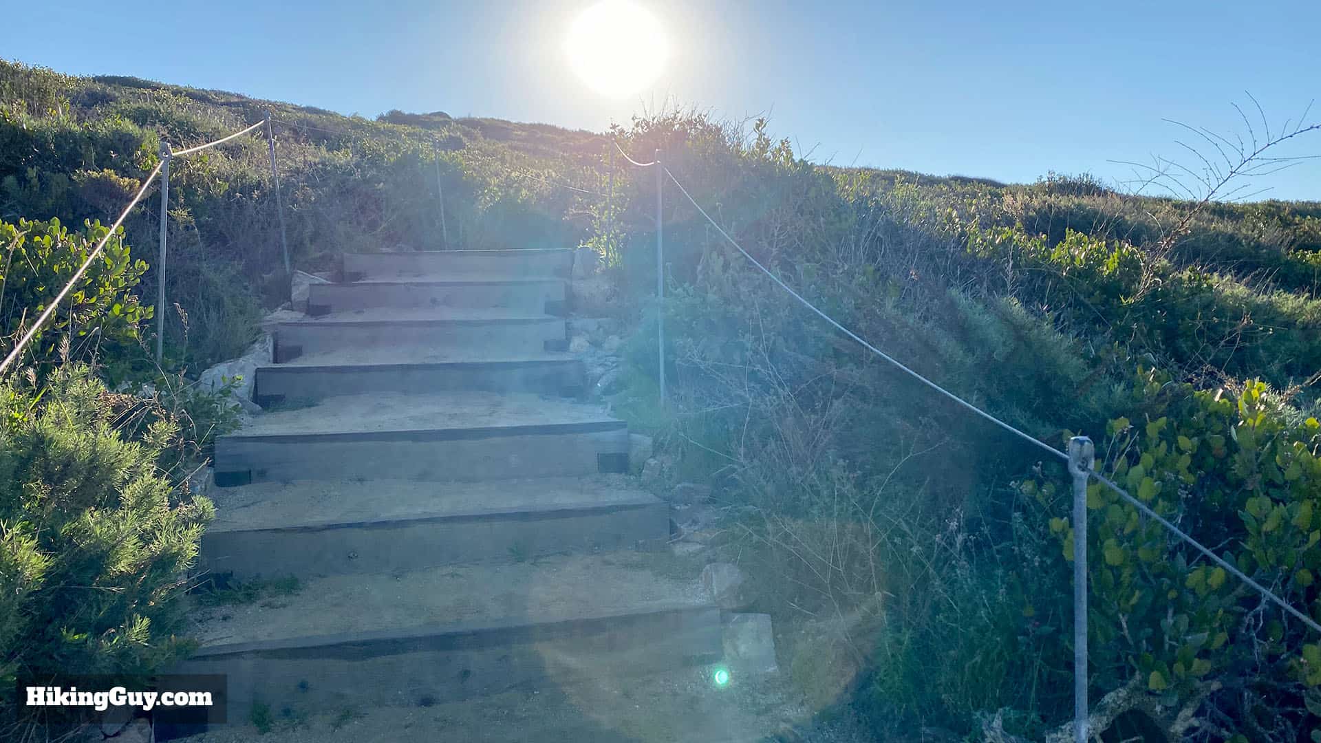 Torrey Pines Hike Update 35