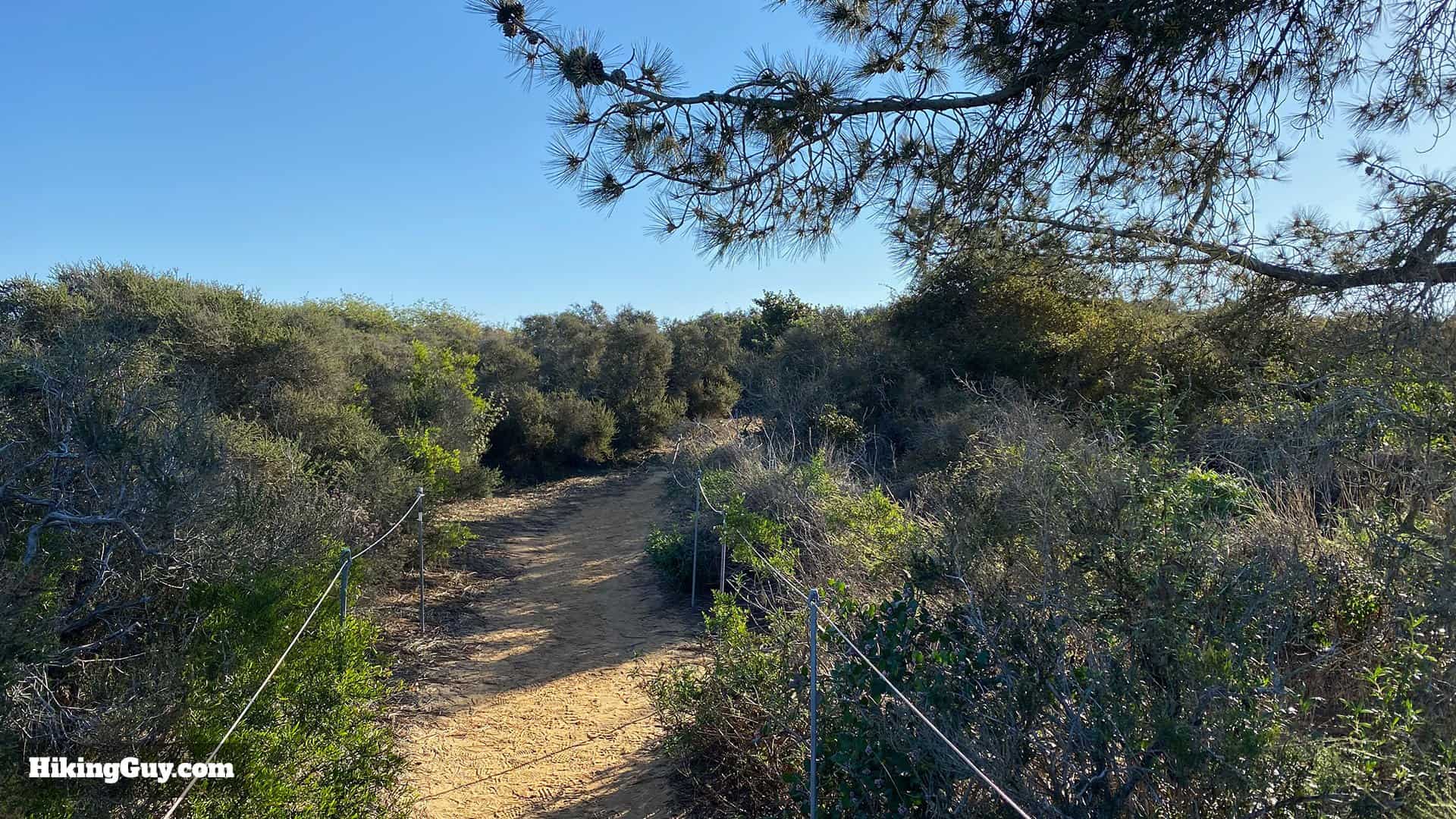 Torrey Pines Hike Update 41