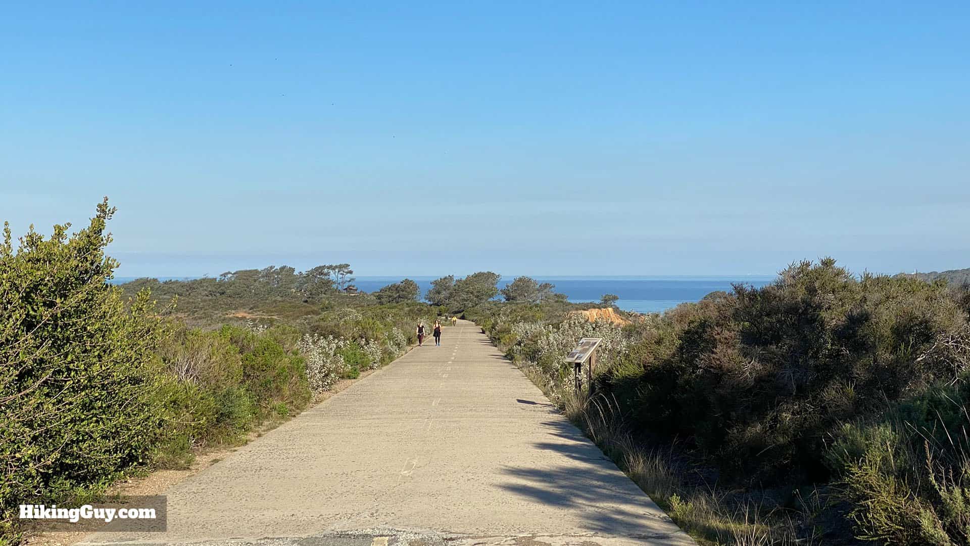 Torrey Pines Hike Update 43