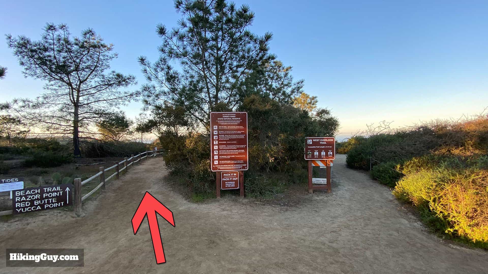 Torrey Pines Hike Update 5