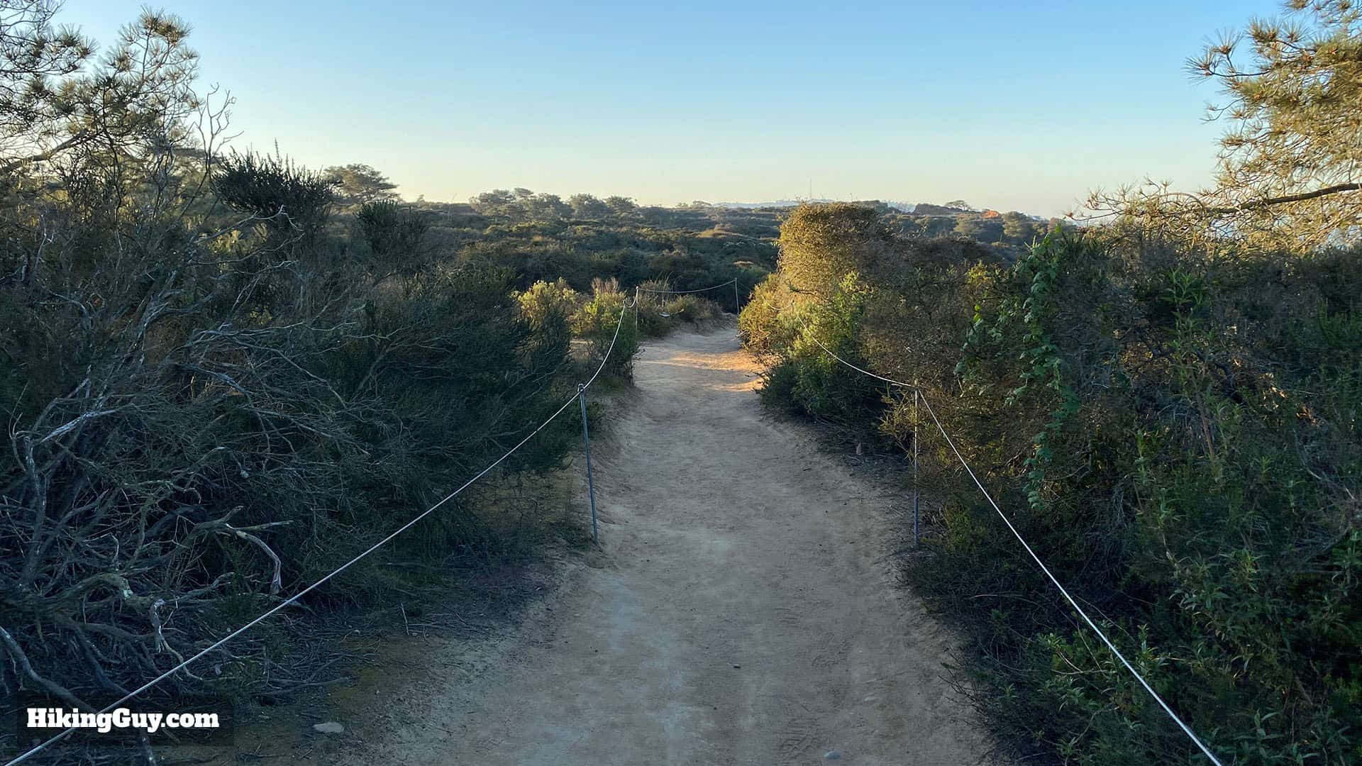 Torrey Pines Hike Update 7
