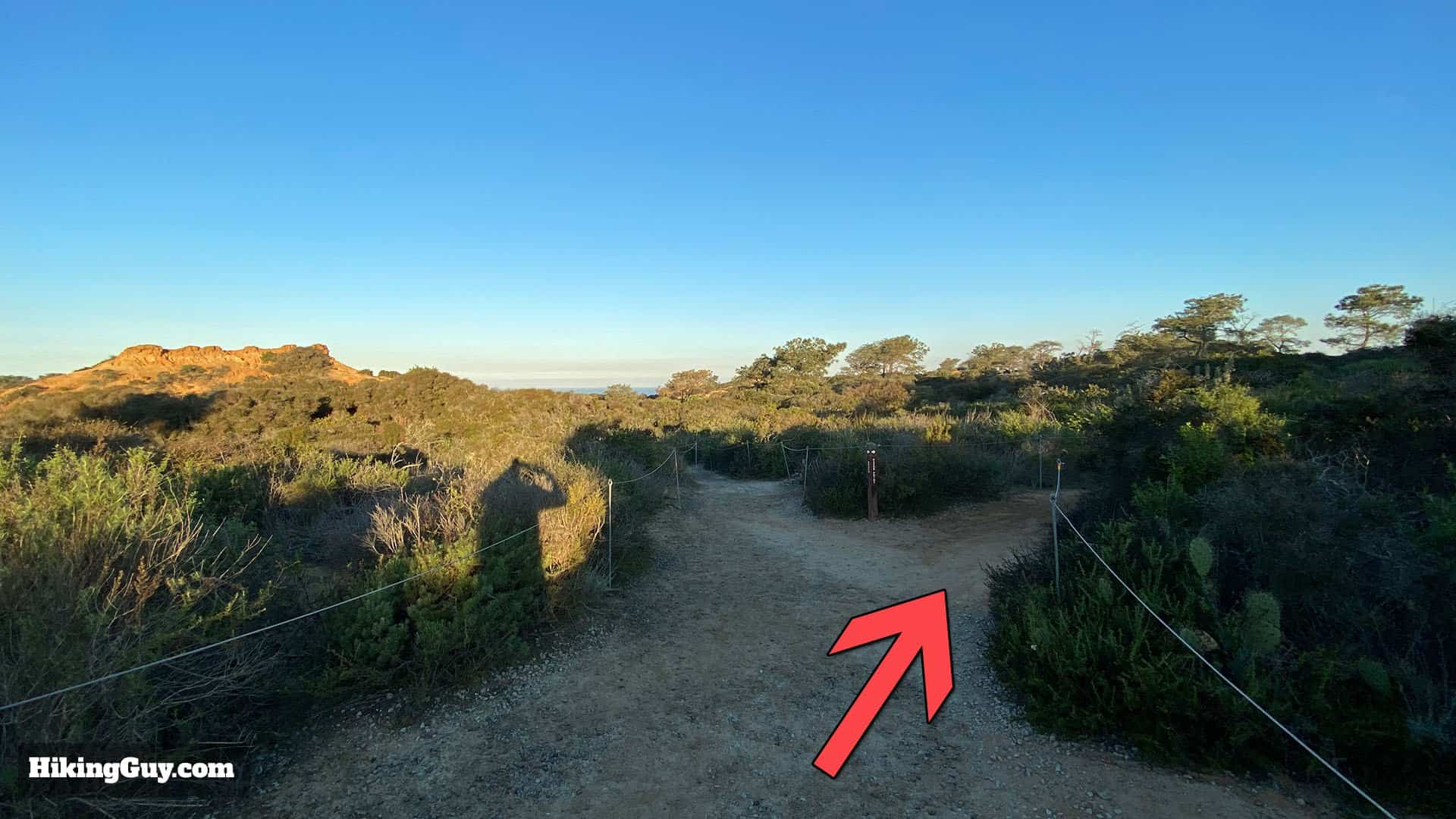 Torrey Pines Hike Update 8