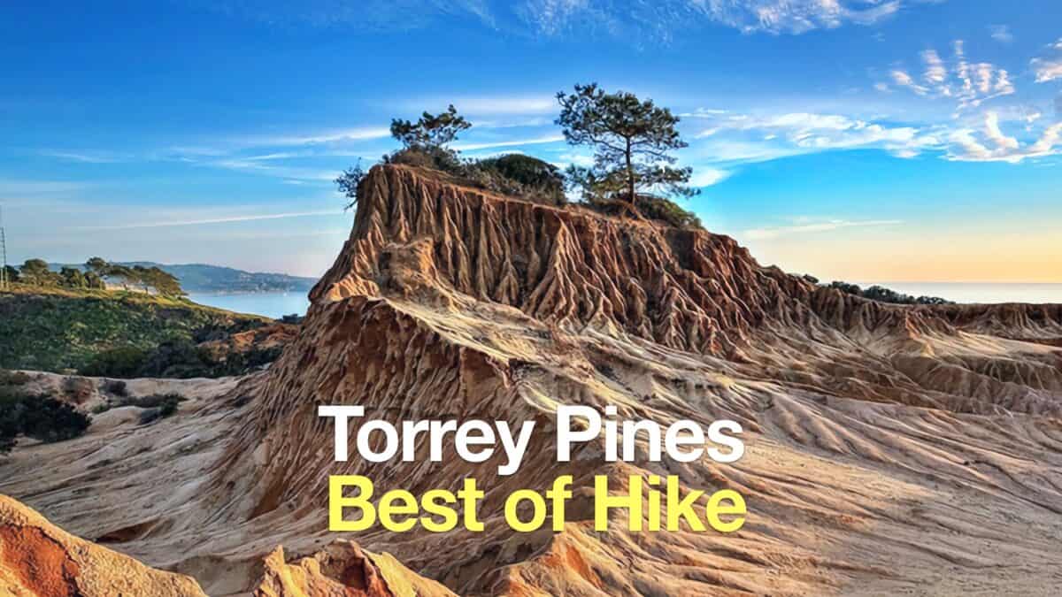 Torrey Pines Hike Guide